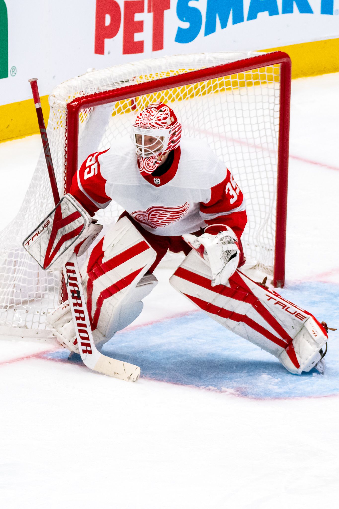 NHL goalie in white and red uniform defends the net during professional hockey game.