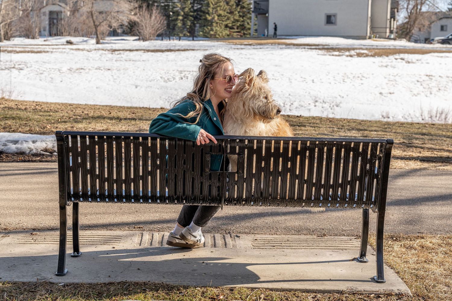 Woman sitting on a park bench being licked by a large fluffy dog in a snowy winter park setting.