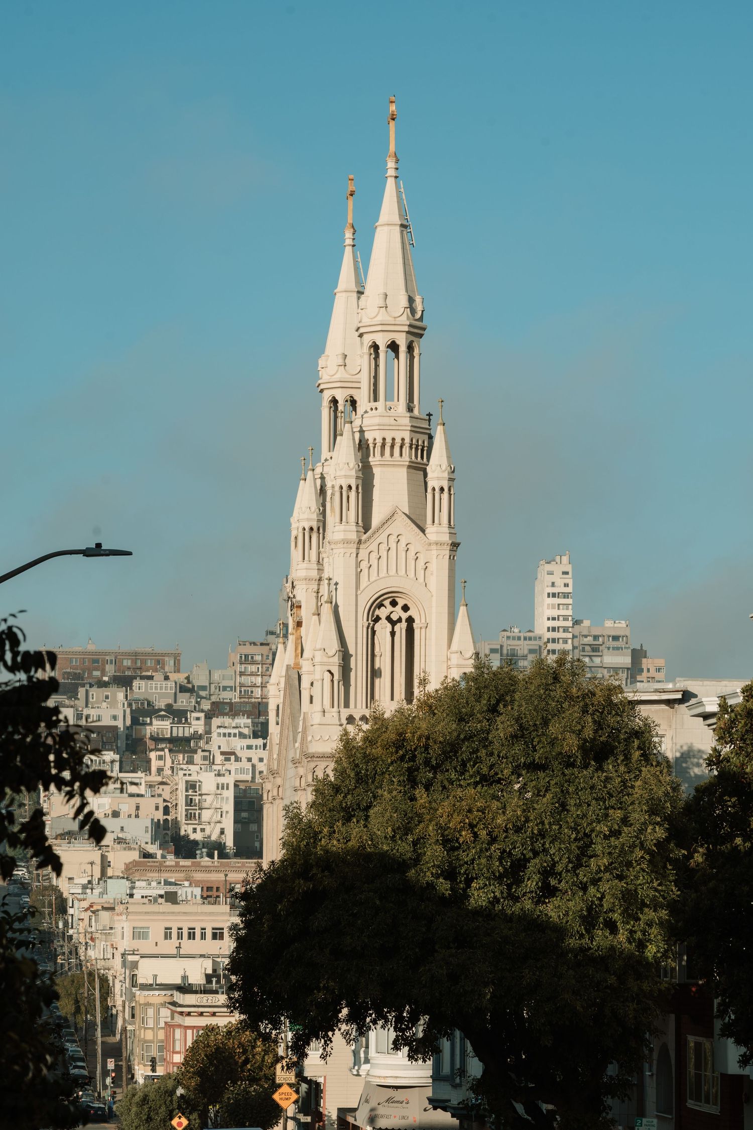 Gothic white church spires rise above San Francisco cityscape with green trees and blue sky backdrop.