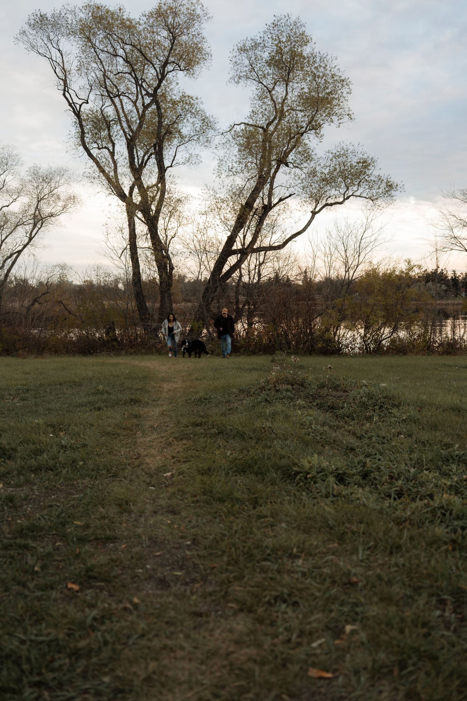 People walking dogs on a grassy path near bare trees by a lake at dusk in autumn.