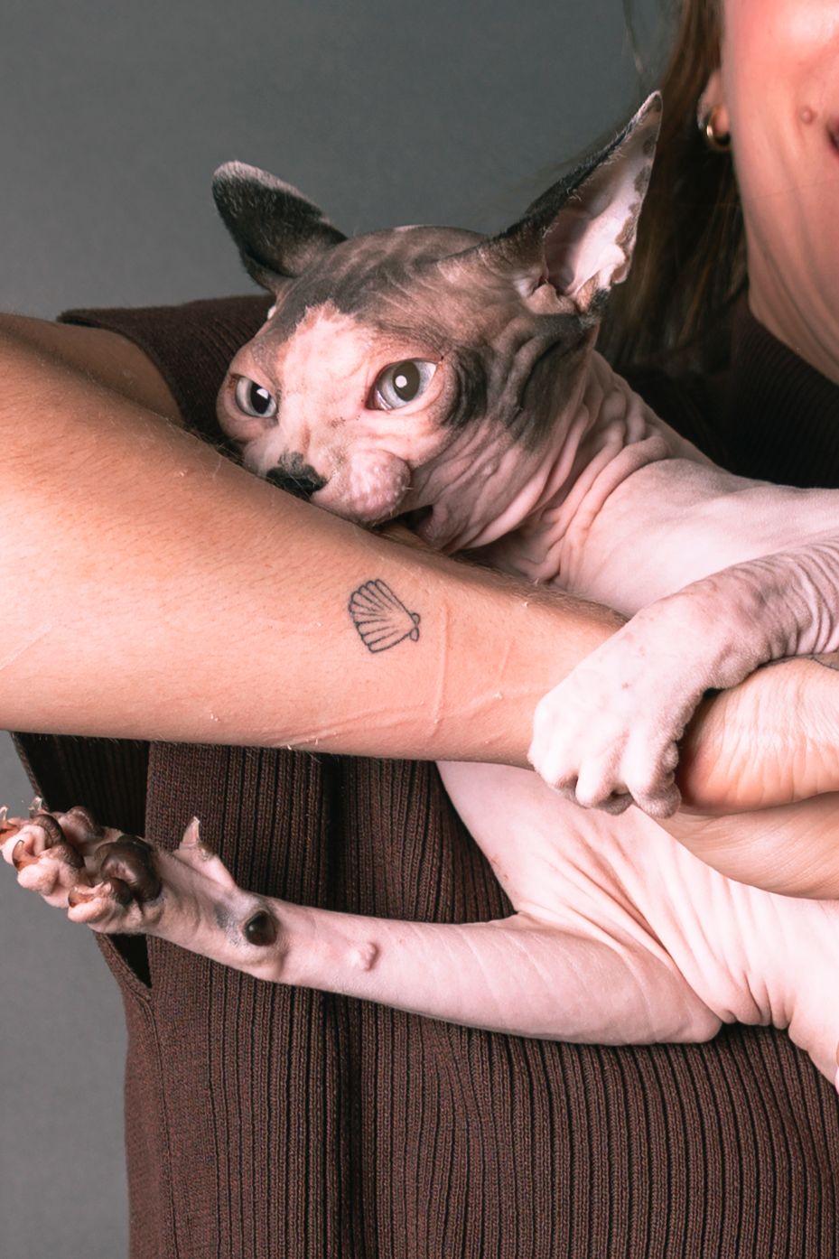 A Sphynx cat held by a person showing a small shell tattoo on their forearm.