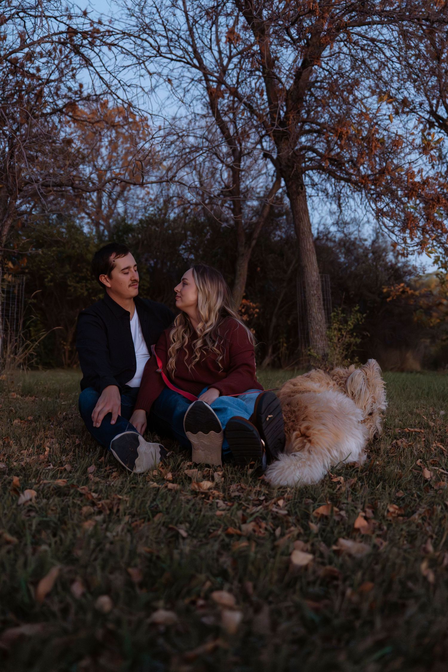 Couple sitting together on grass in autumn park with fluffy dog, surrounded by bare trees at dusk.