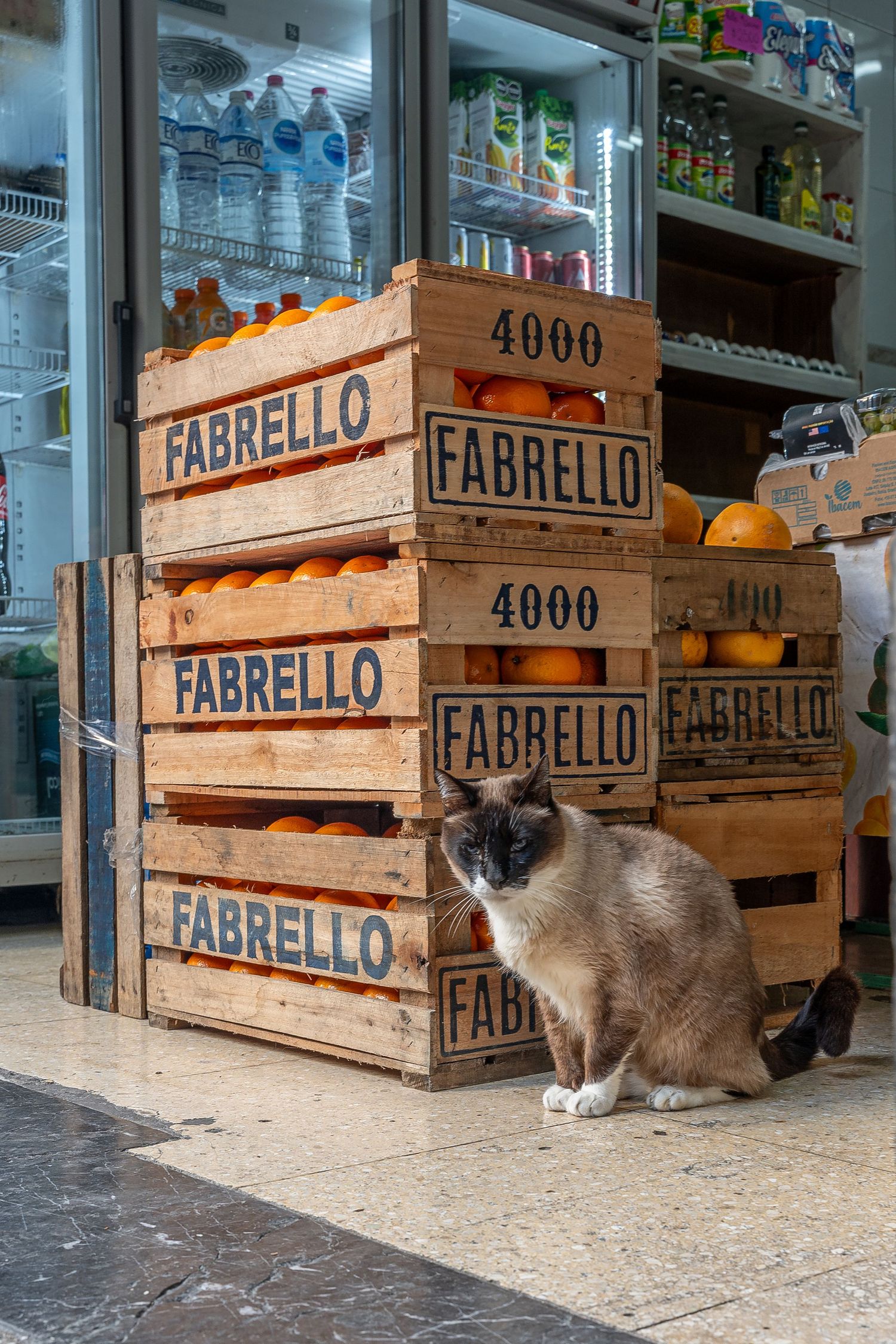 A Siamese cat sits beside stacked wooden Fabrello crates filled with oranges outside a small grocery store.