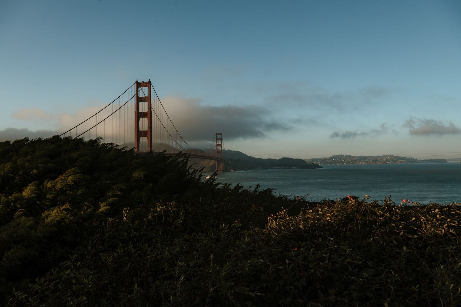 Golden Gate Bridge at dusk with lush green hillside foreground and calm bay waters under a clear blue sky.