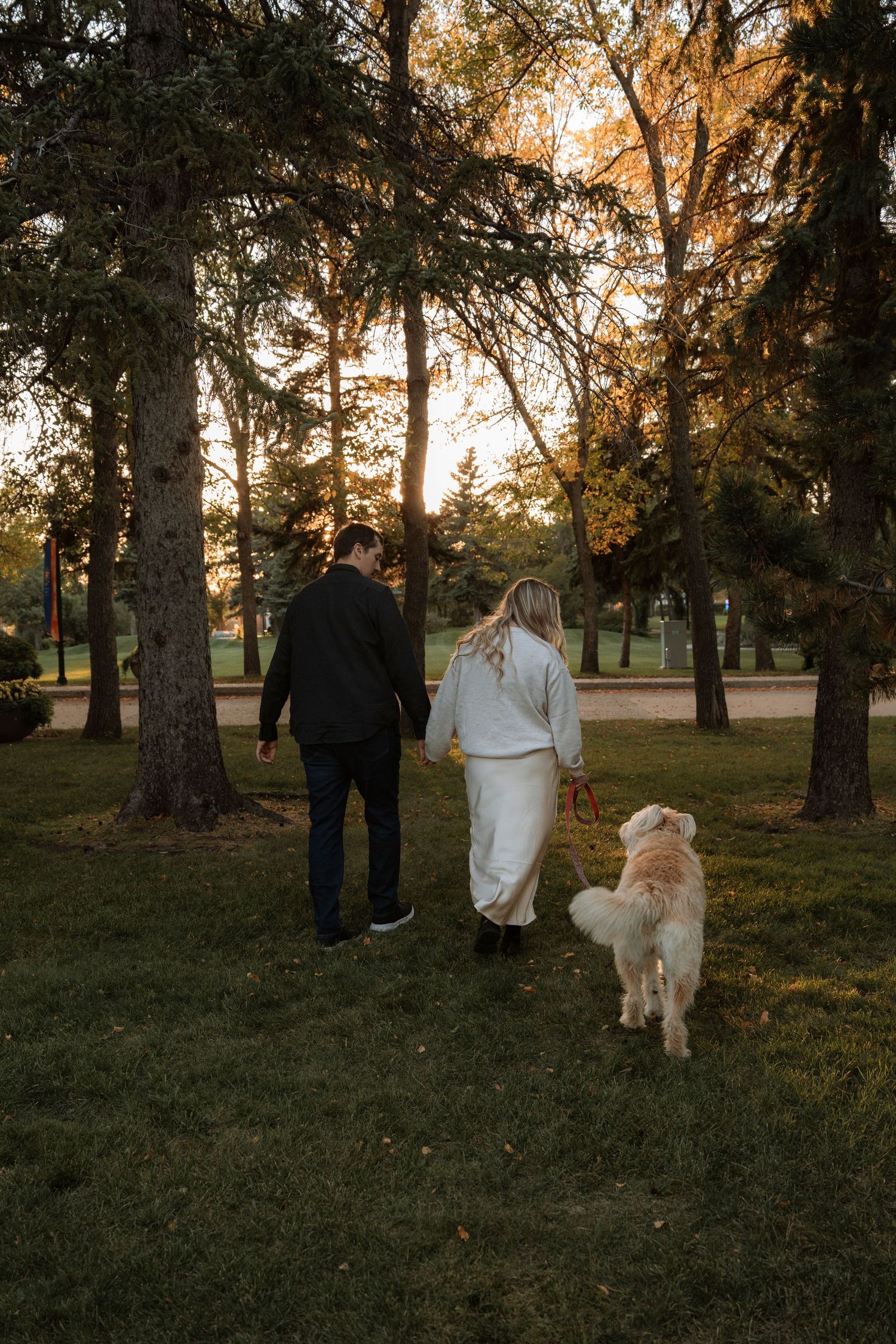Couple holding hands walking with a golden retriever dog in a park at sunset surrounded by tall trees.