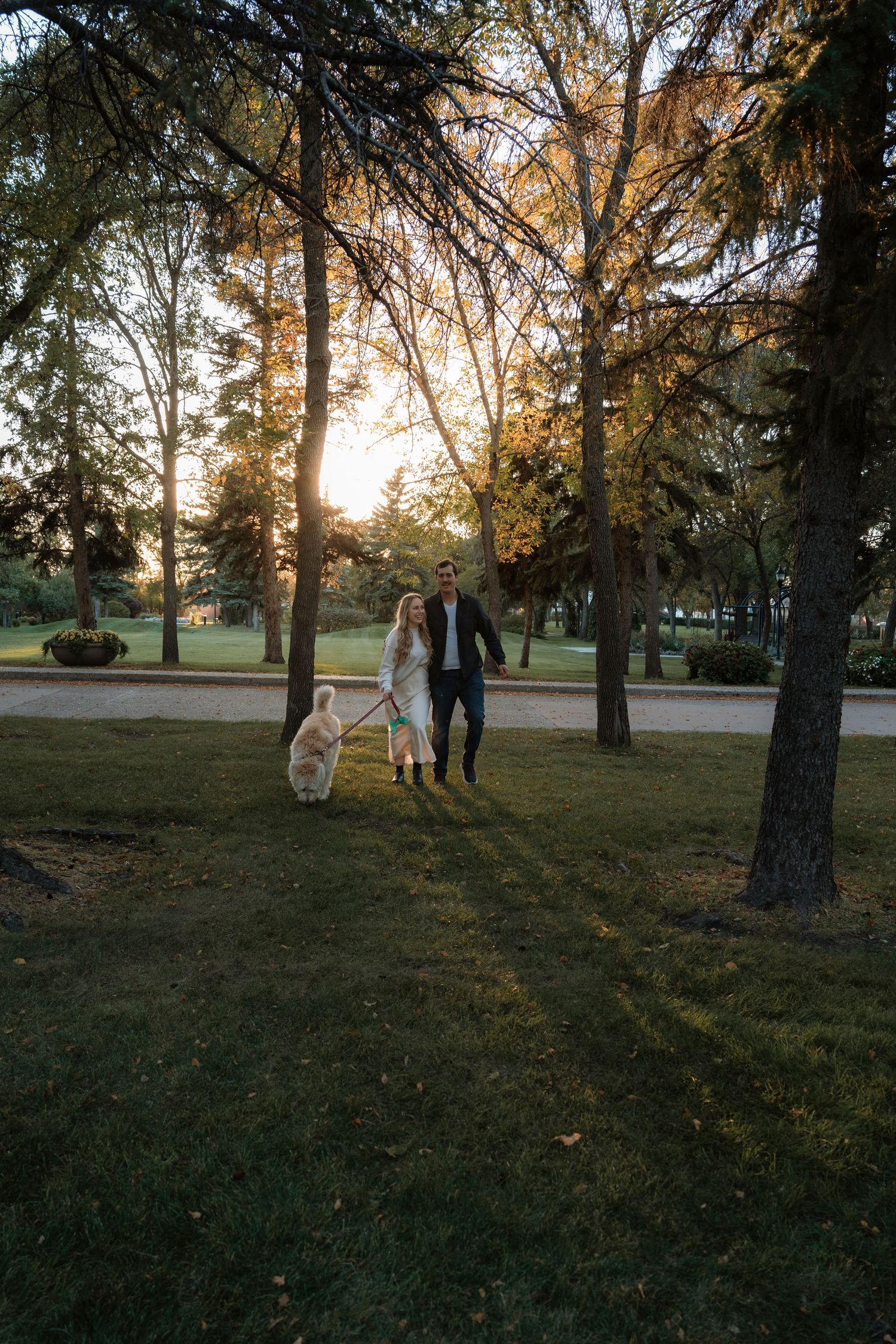 Couple walking a fluffy dog in a sunlit park surrounded by tall trees at golden hour sunset.