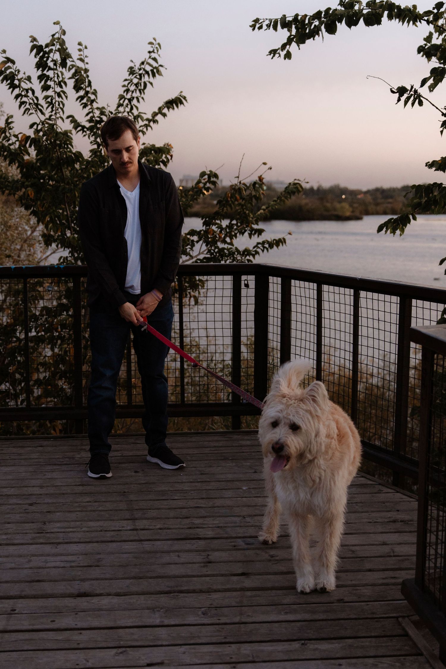 A man walks his fluffy white dog on a red leash on a wooden deck overlooking a river at dusk.