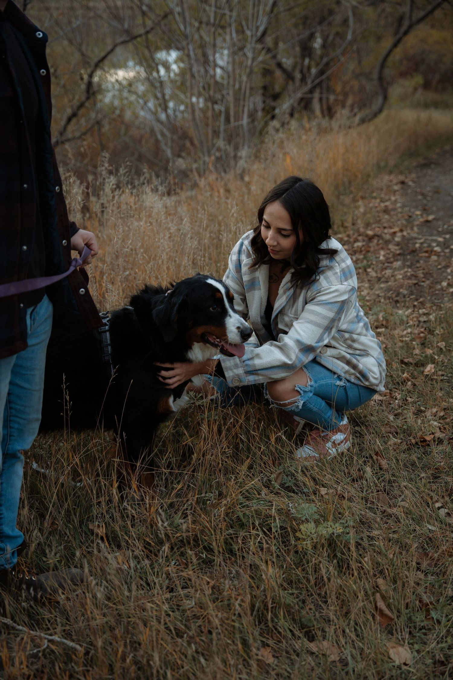 A young woman crouches in autumn grass petting a Bernese Mountain Dog on a leash during an outdoor walk.