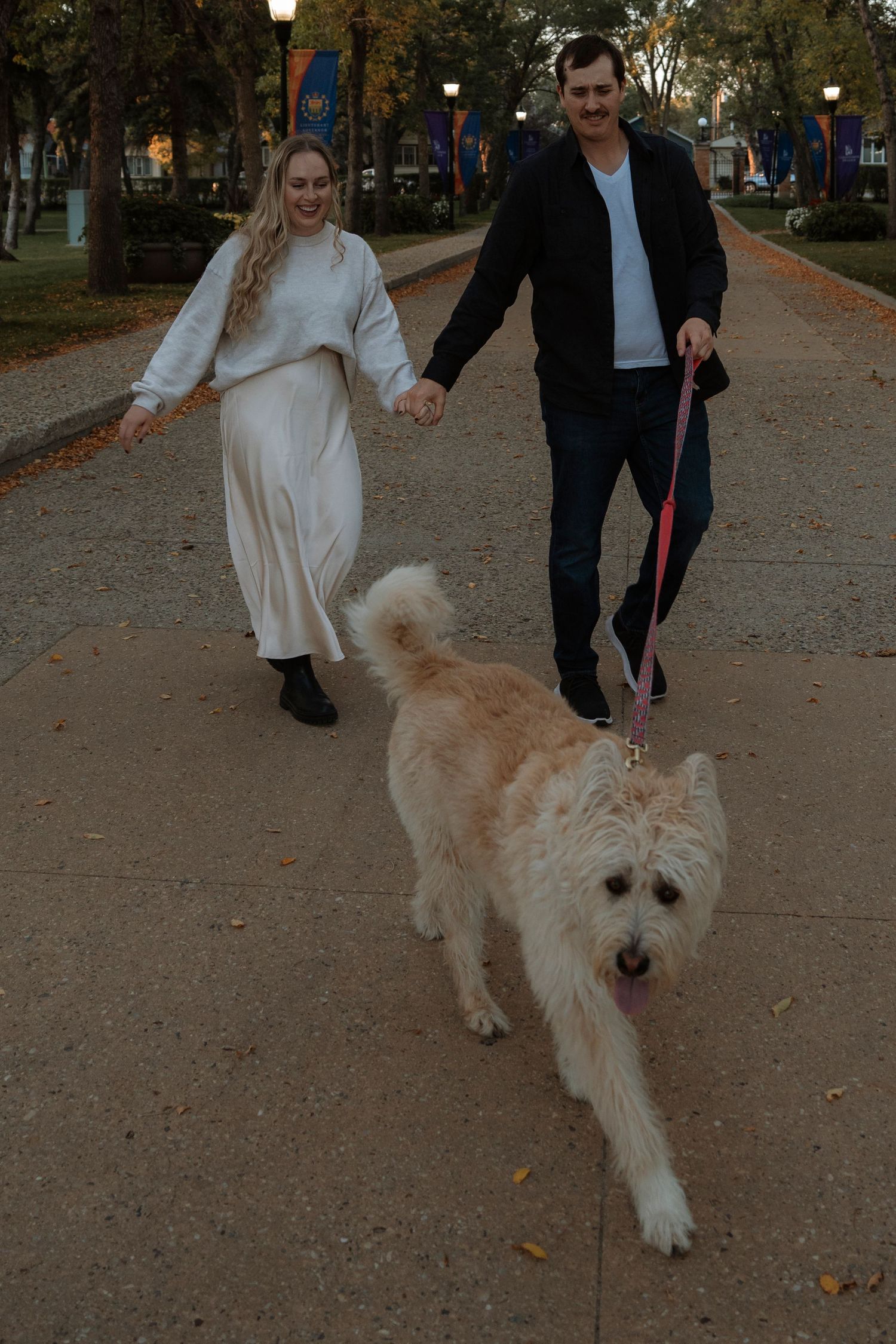 A couple holding hands walks a fluffy golden dog on a pink leash through a tree-lined park path.