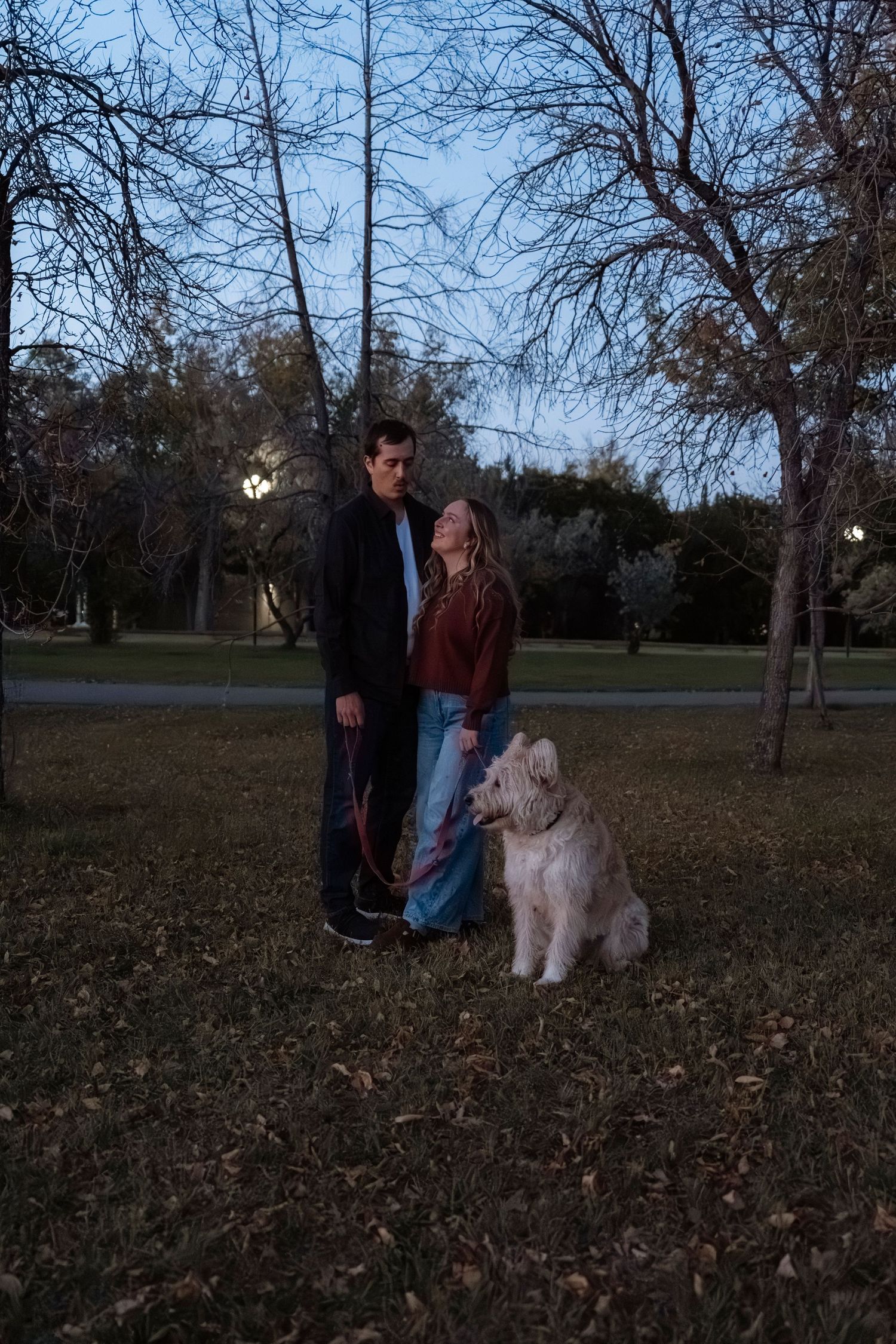 Couple standing with fluffy white dog in park at dusk, bare trees and soft evening light in background.