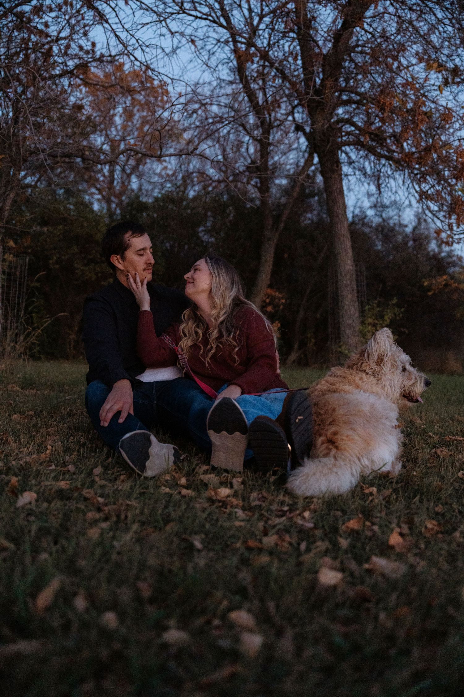 Couple sitting on grass in autumn park with fluffy golden dog, sharing a romantic moment near bare trees at dusk.