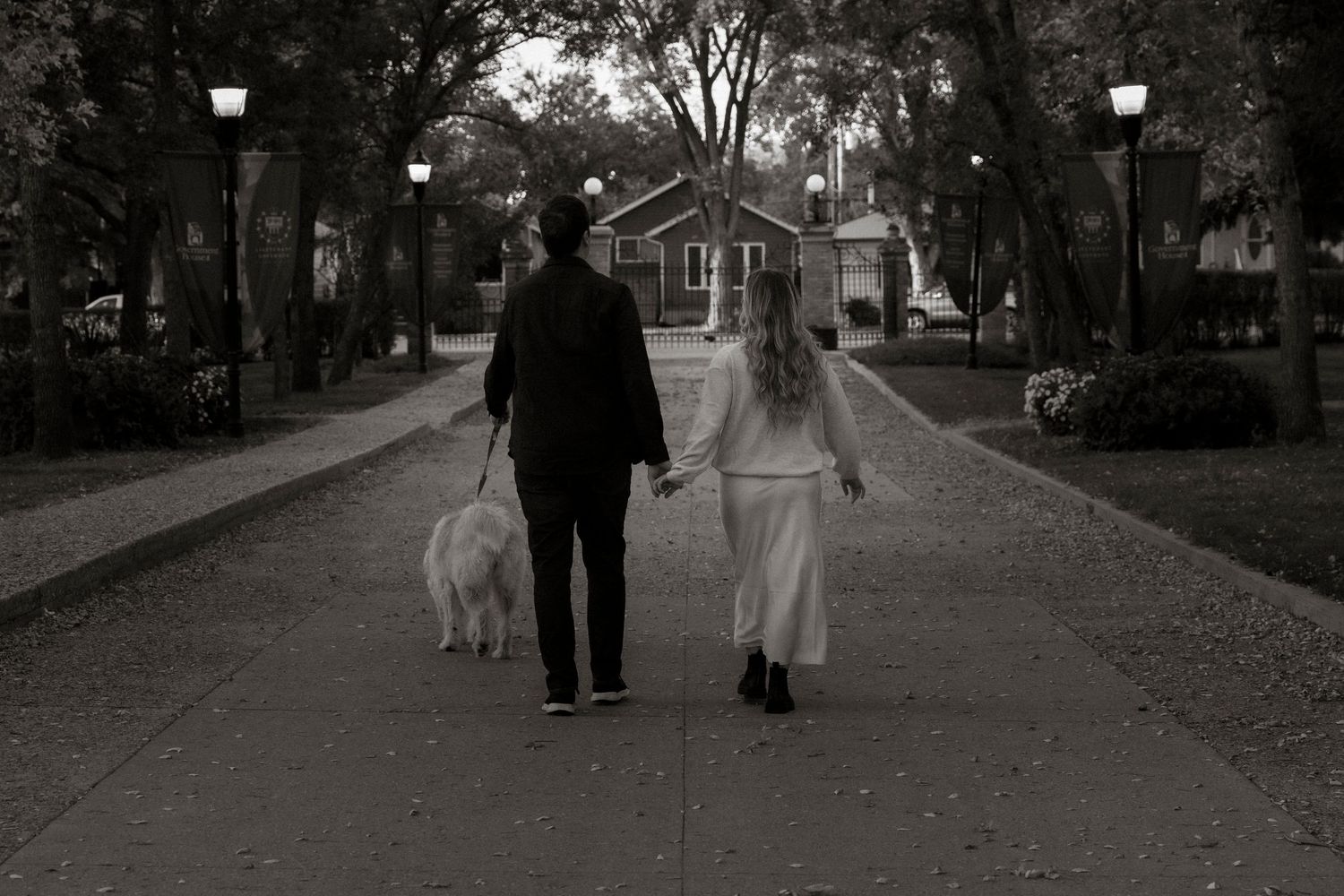 Black and white photo of a couple holding hands walking a white dog down a tree-lined suburban street at dusk.
