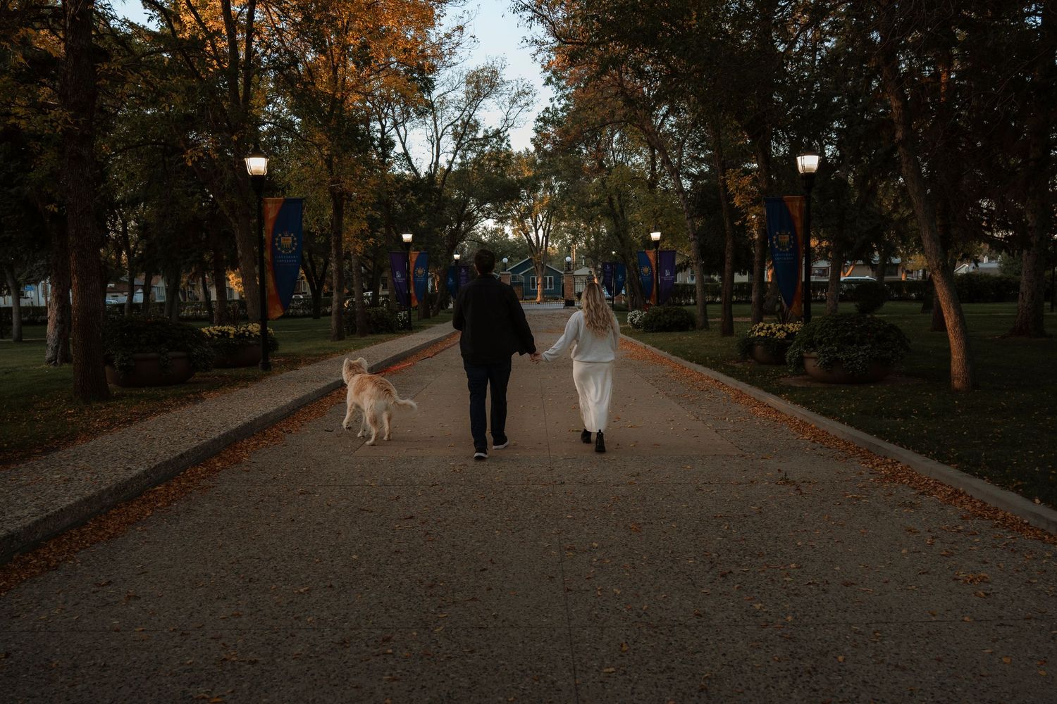 Couple walking dog on a tree-lined park path at dusk, surrounded by autumn foliage and lamp posts.