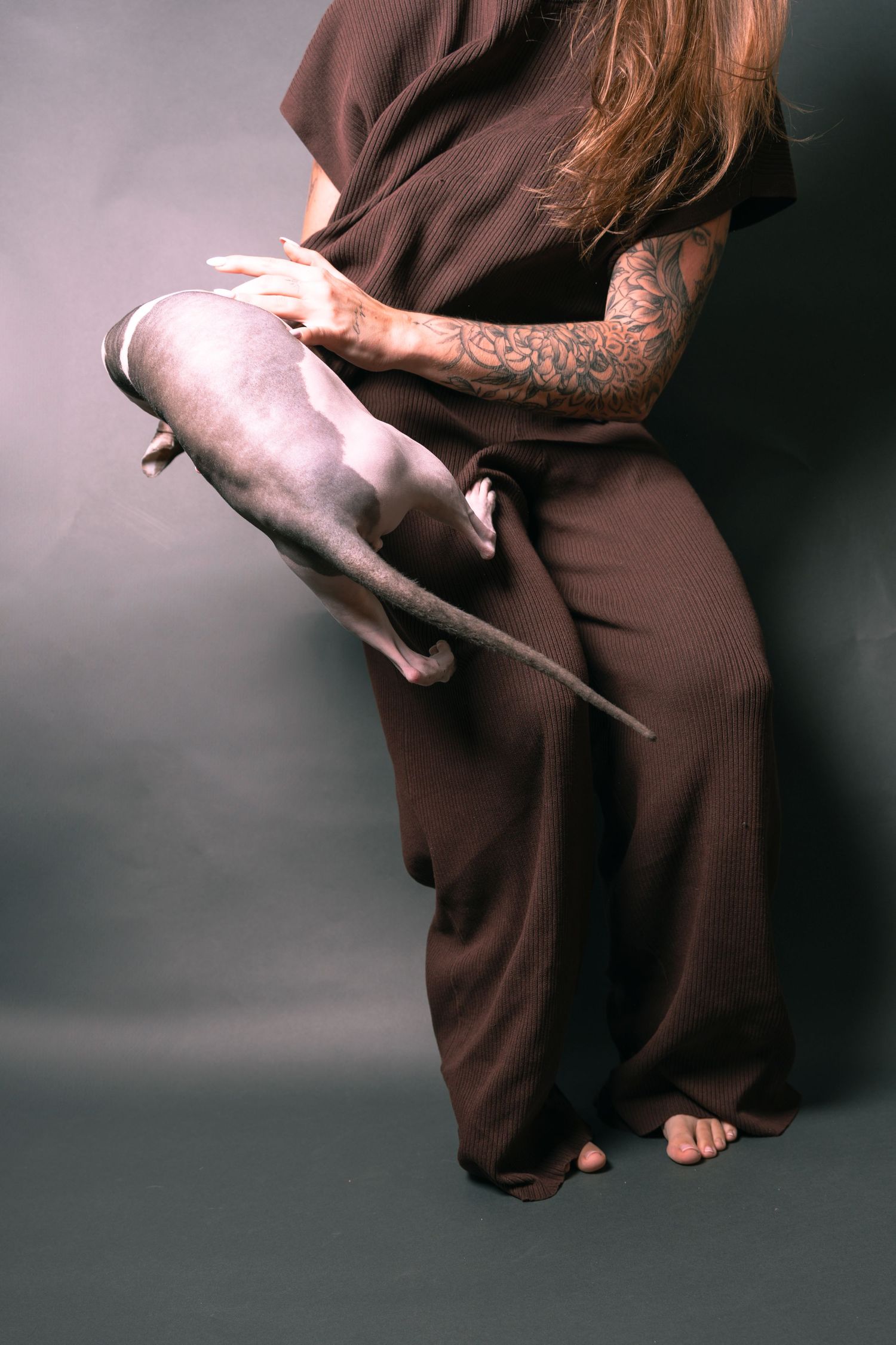 Person in brown wide-leg pants with tattoos holding a small white dog against a gray studio background.