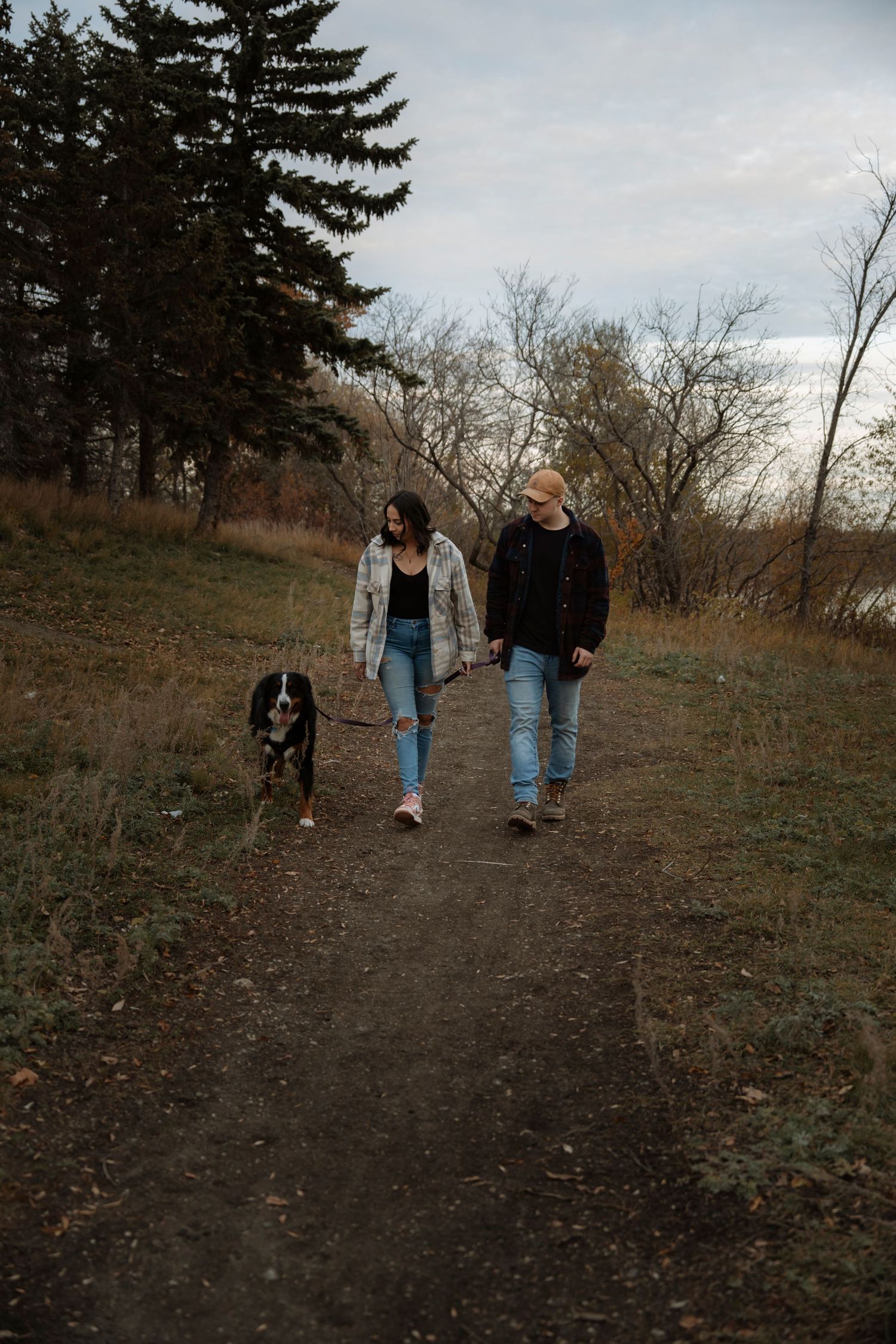 A couple holds hands while walking their black dog on a dirt path through an autumn park with evergreen trees.