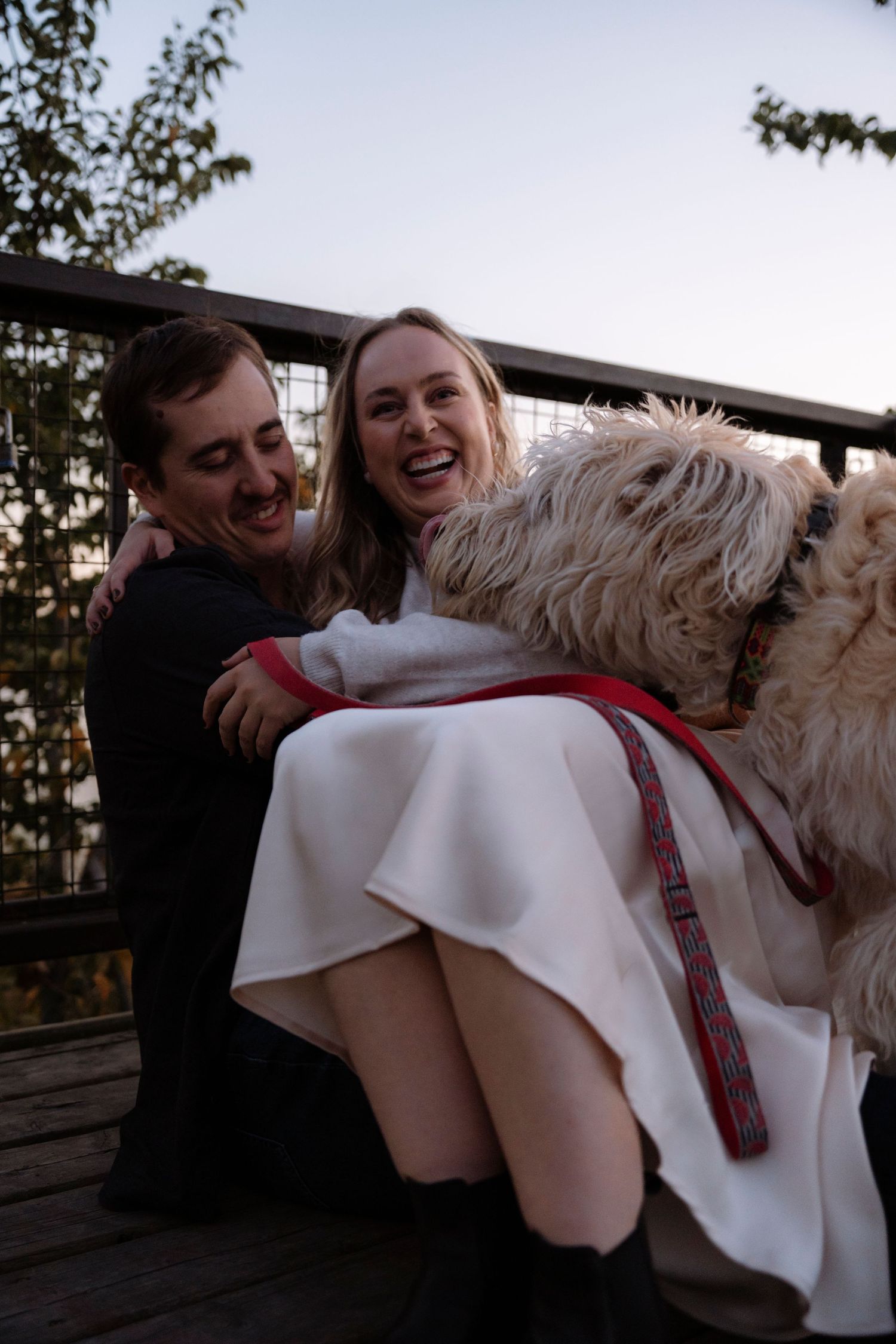 A laughing bride and groom cuddle with a fluffy white dog on a wooden deck at dusk.