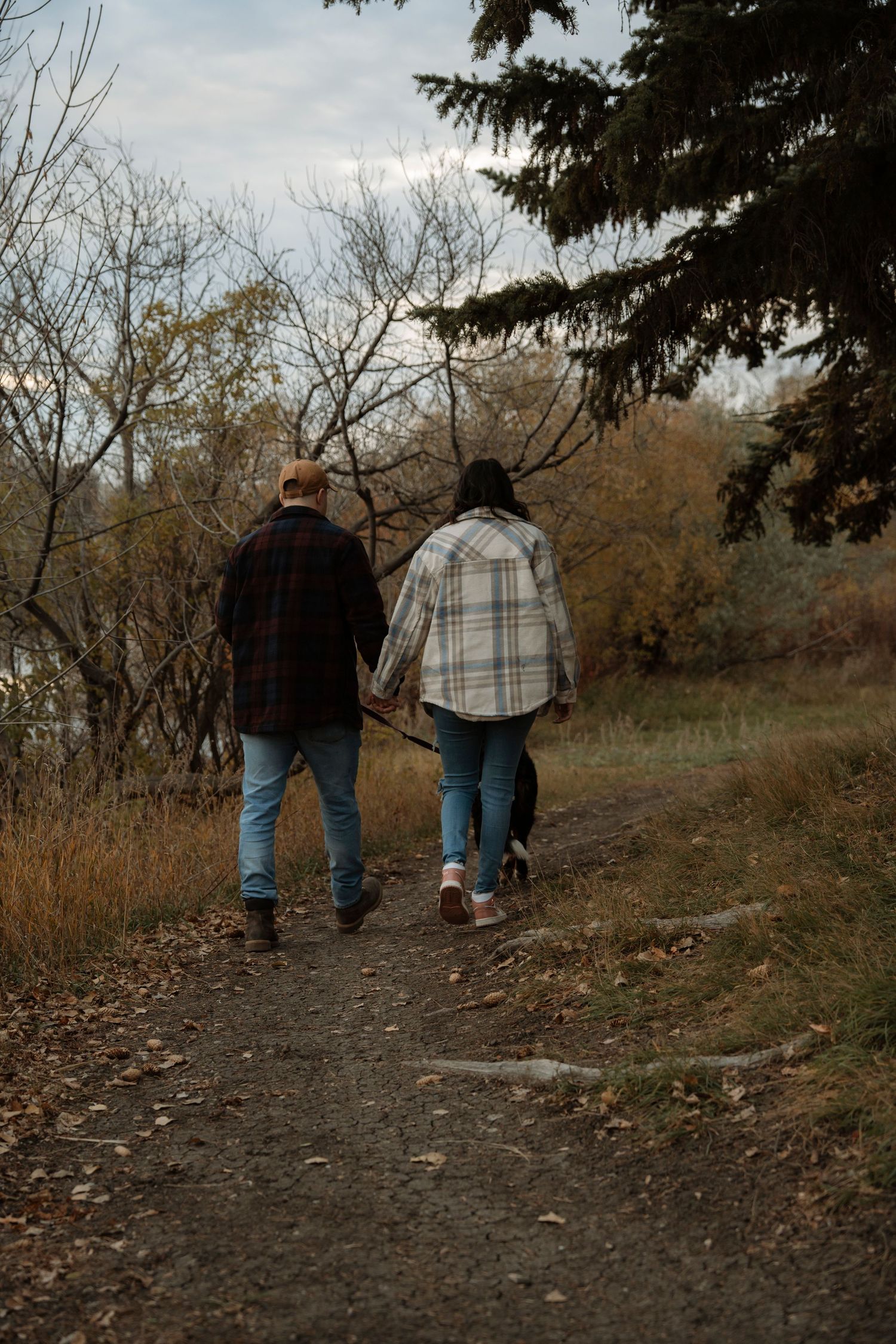 Couple holding hands walking on autumn trail path through trees wearing plaid shirts and jeans from behind.