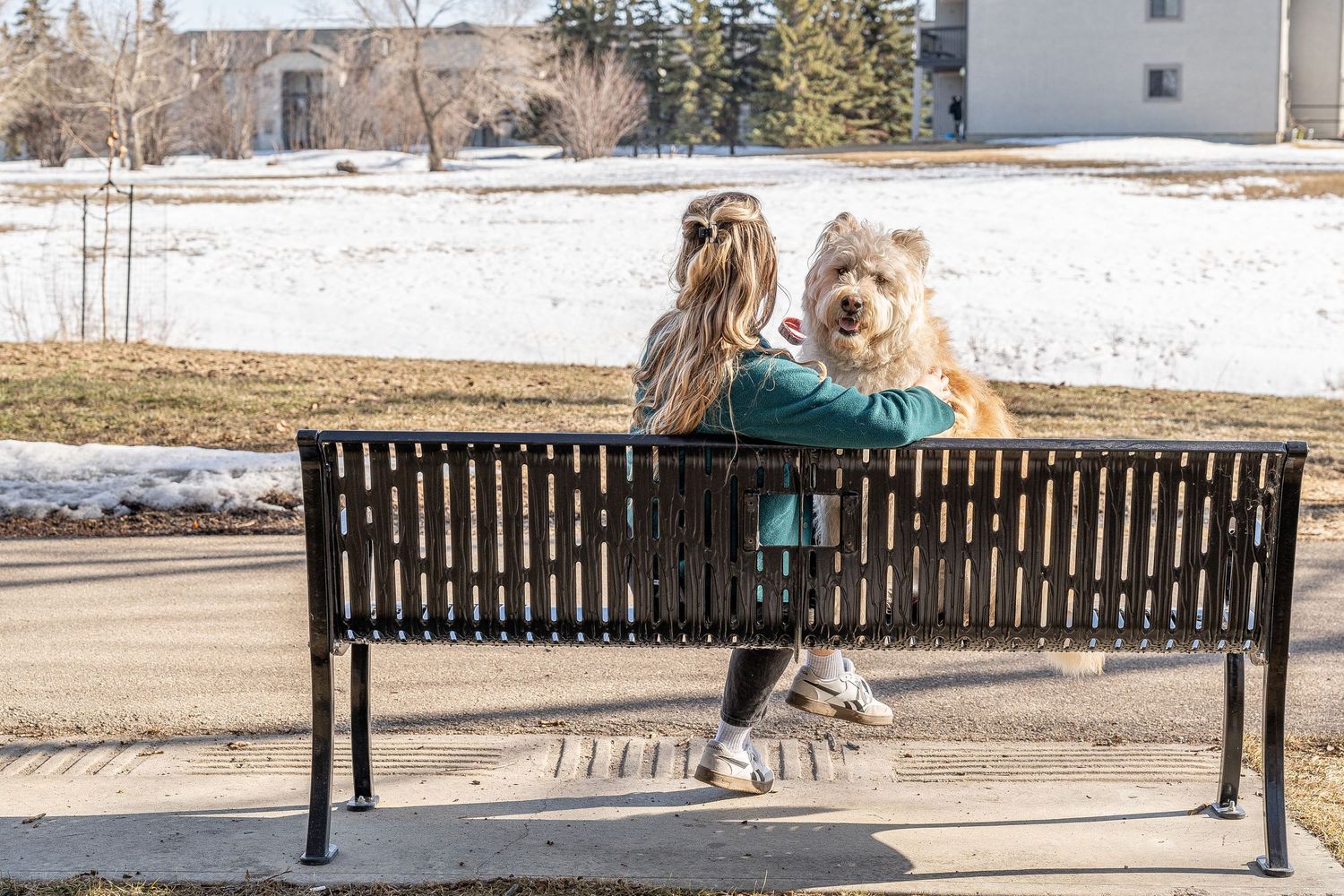 Girl and fluffy dog sitting together on a park bench with snowy ground in the background on a sunny day.