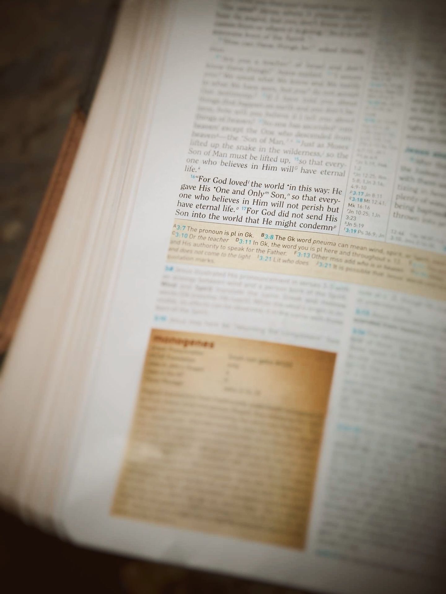 Detailed shot of a seniors favorite bible verse