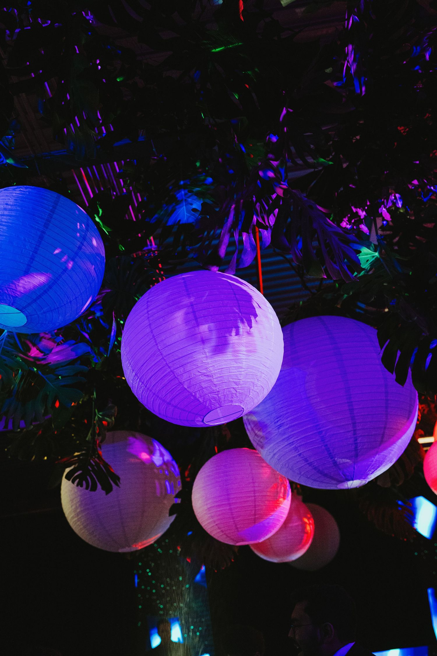 Glowing purple and white paper lanterns hanging from dark tree branches at a nighttime outdoor event.