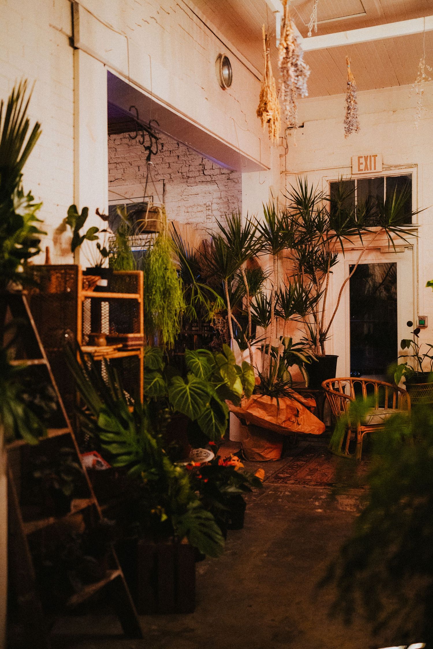 Lush indoor plant shop with tropical greenery, wooden furniture, and warm lighting against white brick walls.