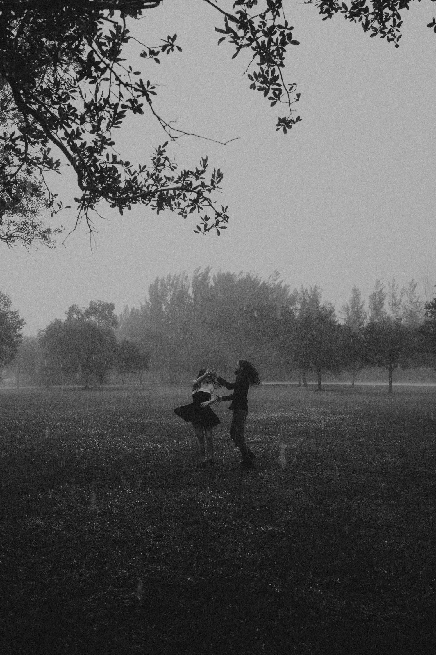 Silhouetted figures stand in a misty field at dusk with trees visible in the background creating a moody atmosphere.