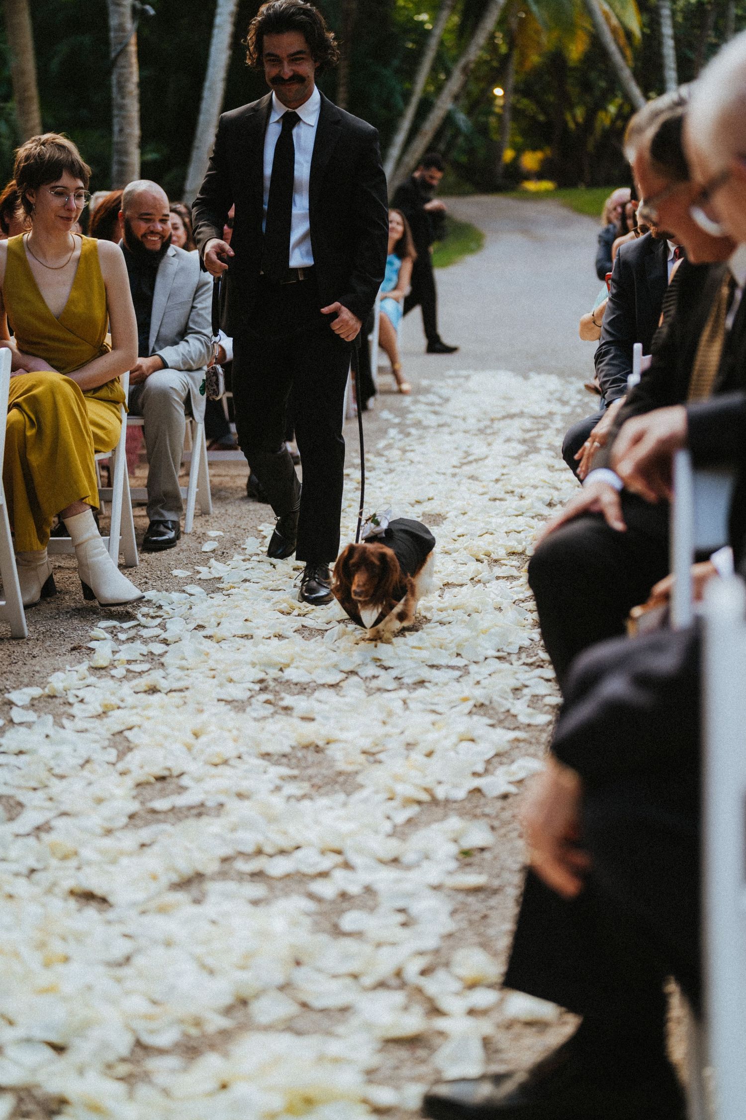 A dachshund walks down a petal-lined wedding ceremony aisle escorted by a man in a black suit.
