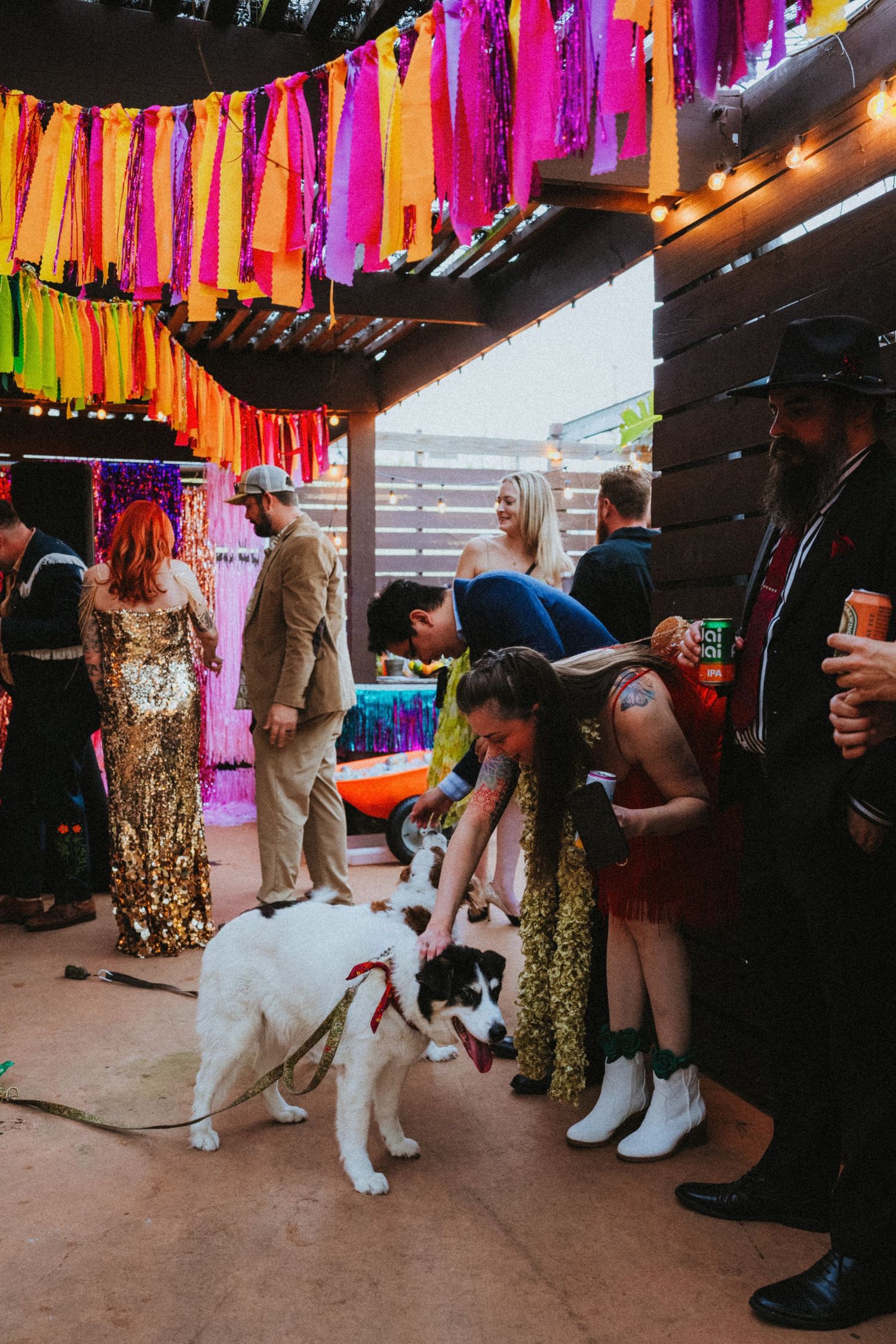 Guests with dogs at colorful outdoor party with rainbow fringe garlands and festive decorations.