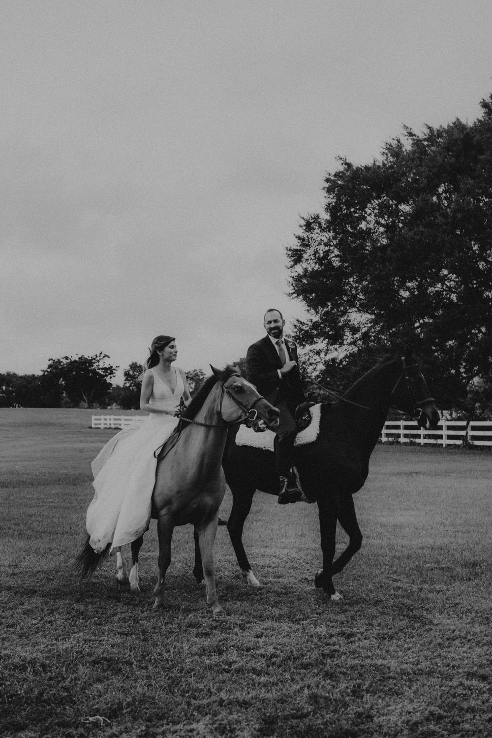 Bride and groom riding white and black horses in countryside wedding portrait.