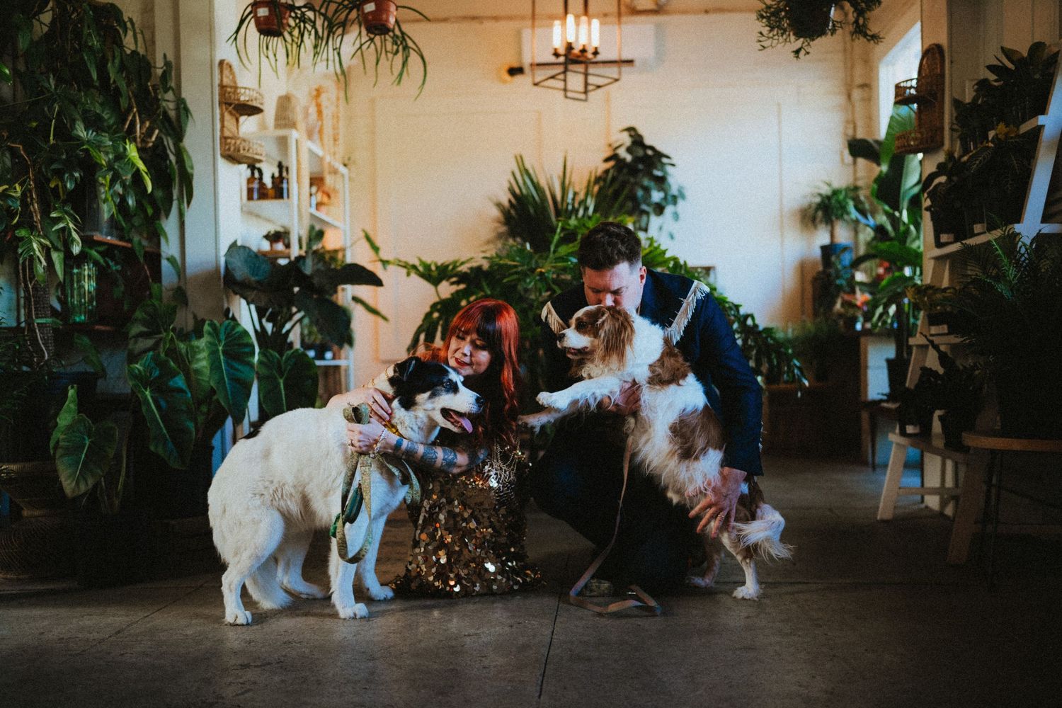 Couple in festive attire playing with three dogs among lush green plants in a bright indoor venue.