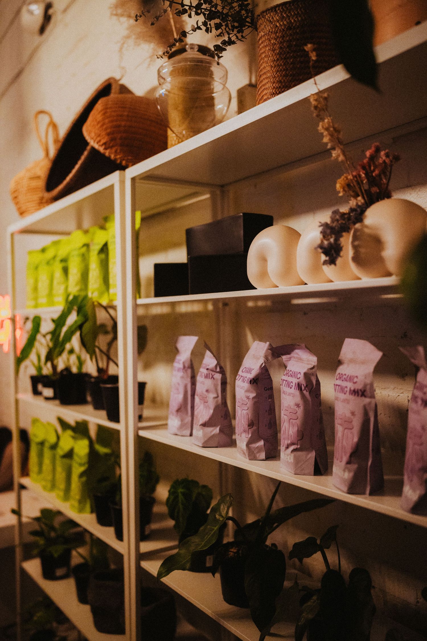 White retail shelves displaying pink packaged goods, potted plants, ceramic vases, and woven baskets in a boutique shop.
