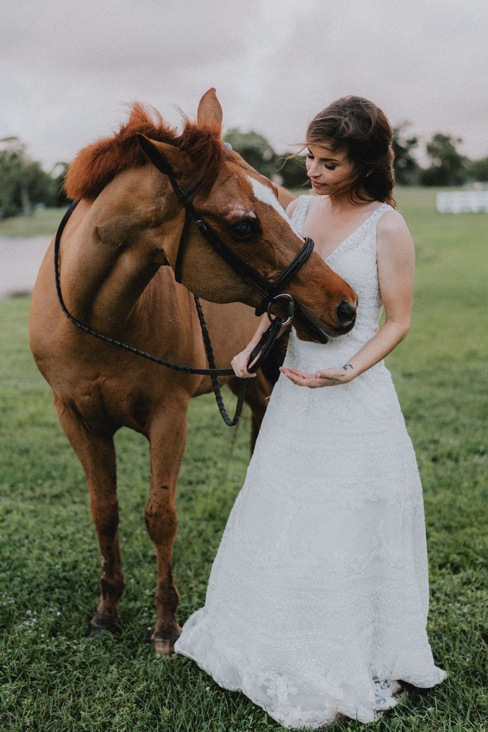Elegant bride in a white lace dress poses with a chestnut horse in a green field.