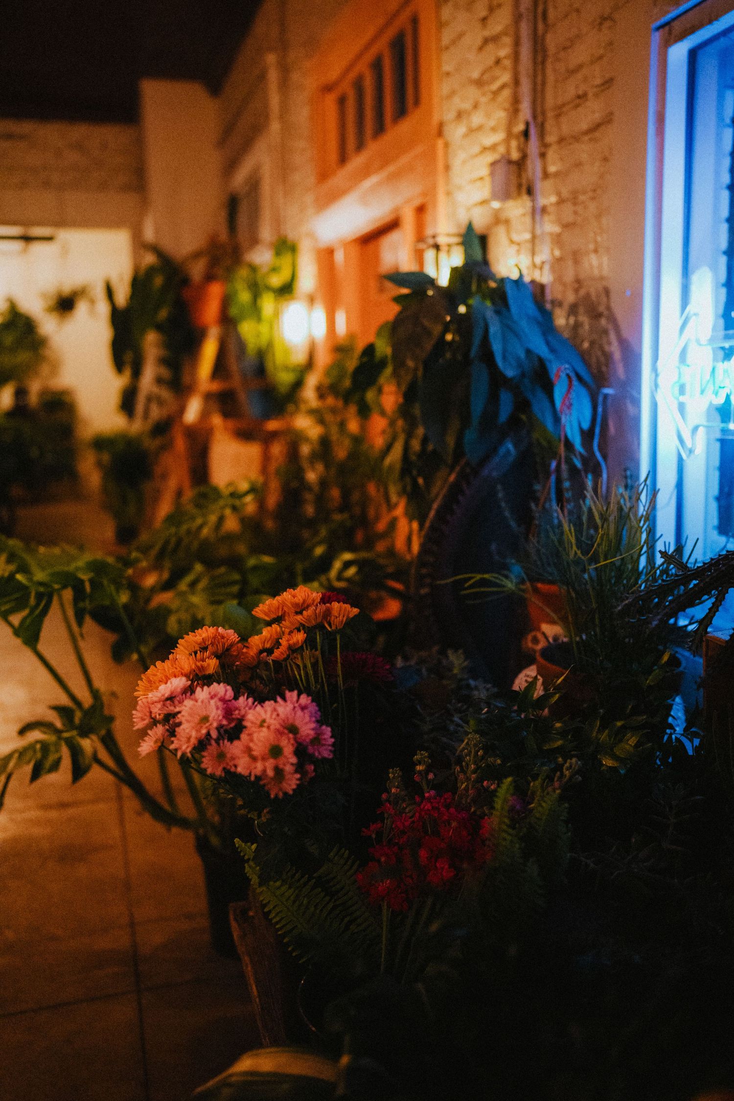 Colorful flowers and lush tropical plants displayed outside a warmly lit shop entrance at night.