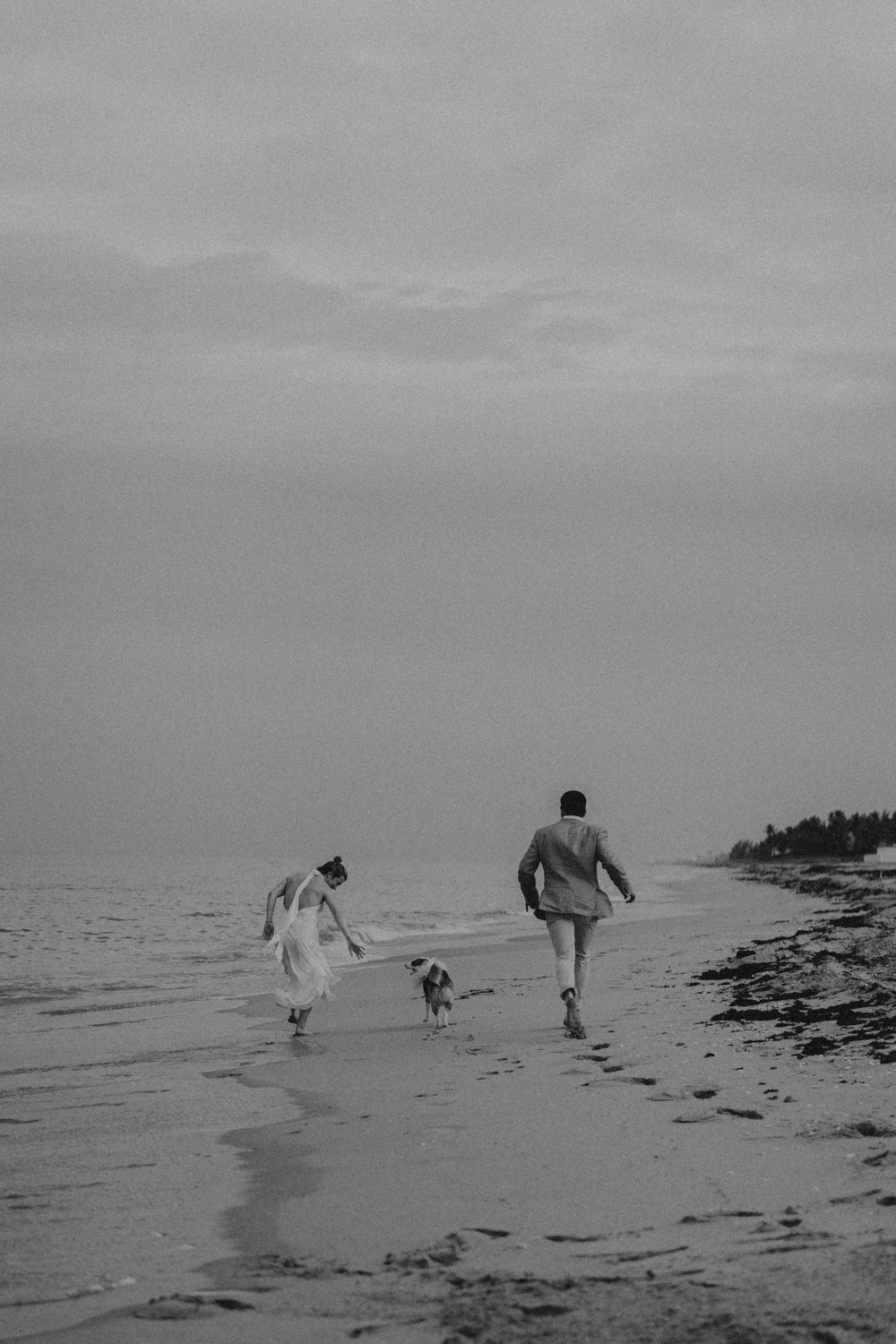 People and dogs walking along a misty beach shoreline in black and white.