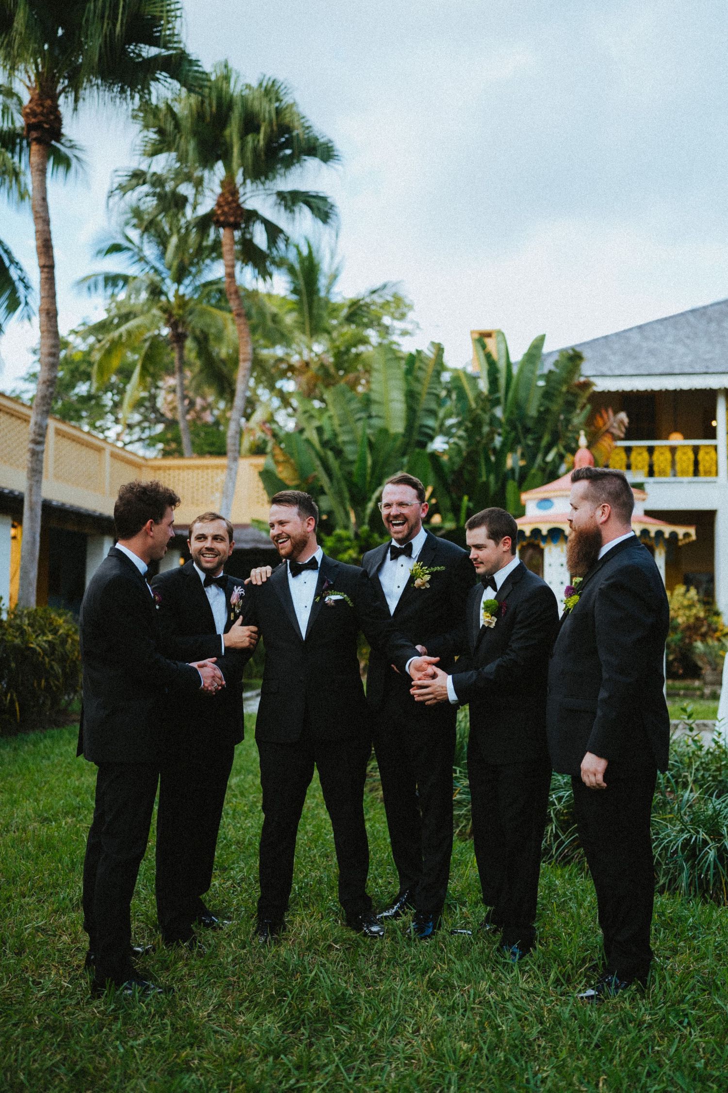 Groom and groomsmen laughing in black tuxedos on tropical wedding venue lawn with palm trees.