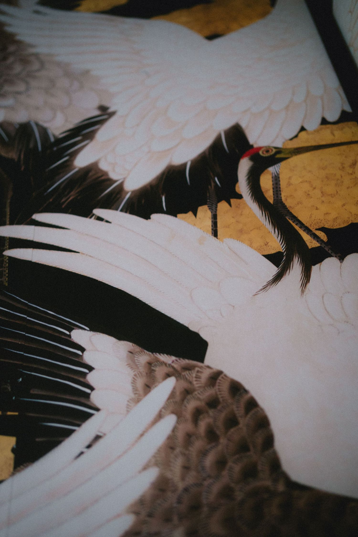 Close-up of Japanese art painting featuring elegant white cranes with gold accents and detailed black feathers.
