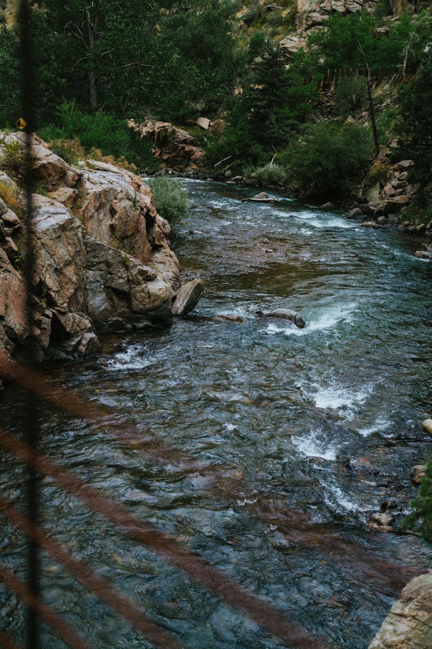 Rocky mountain stream with clear rushing water flowing between boulders and lush green forest.