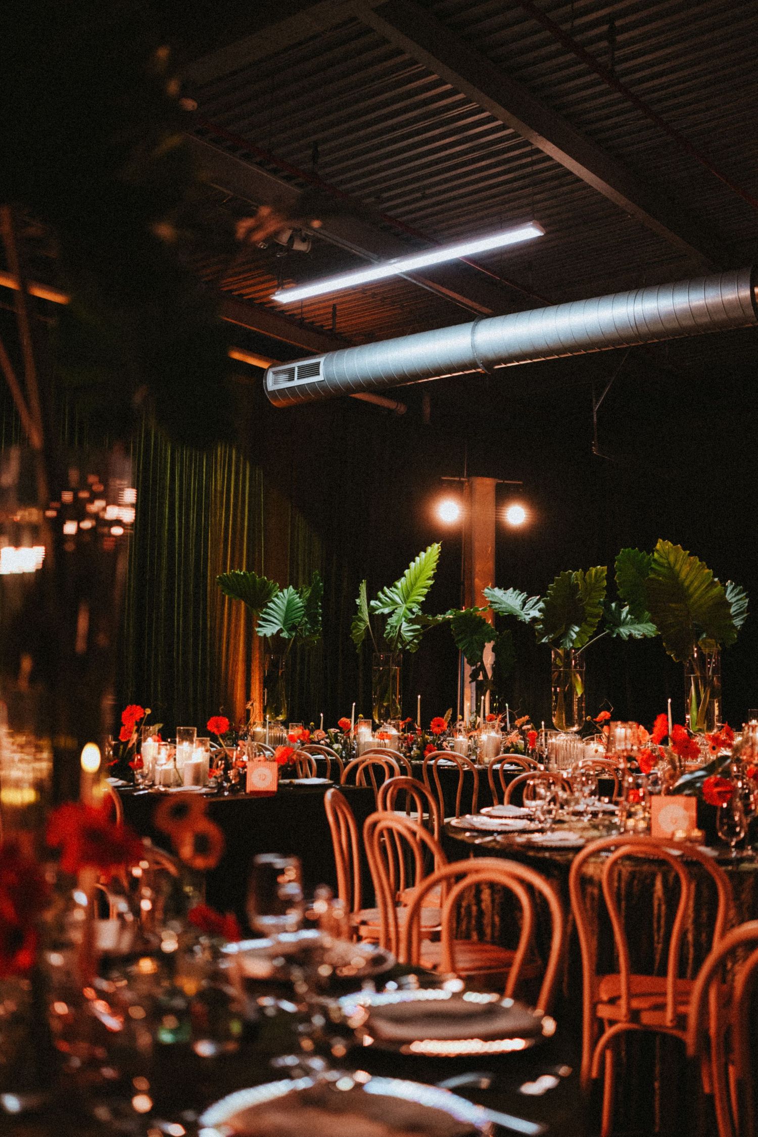 Elegant event venue with dark ambiance, tropical fern centerpieces, red floral arrangements, bentwood chairs, and candlelit tables.