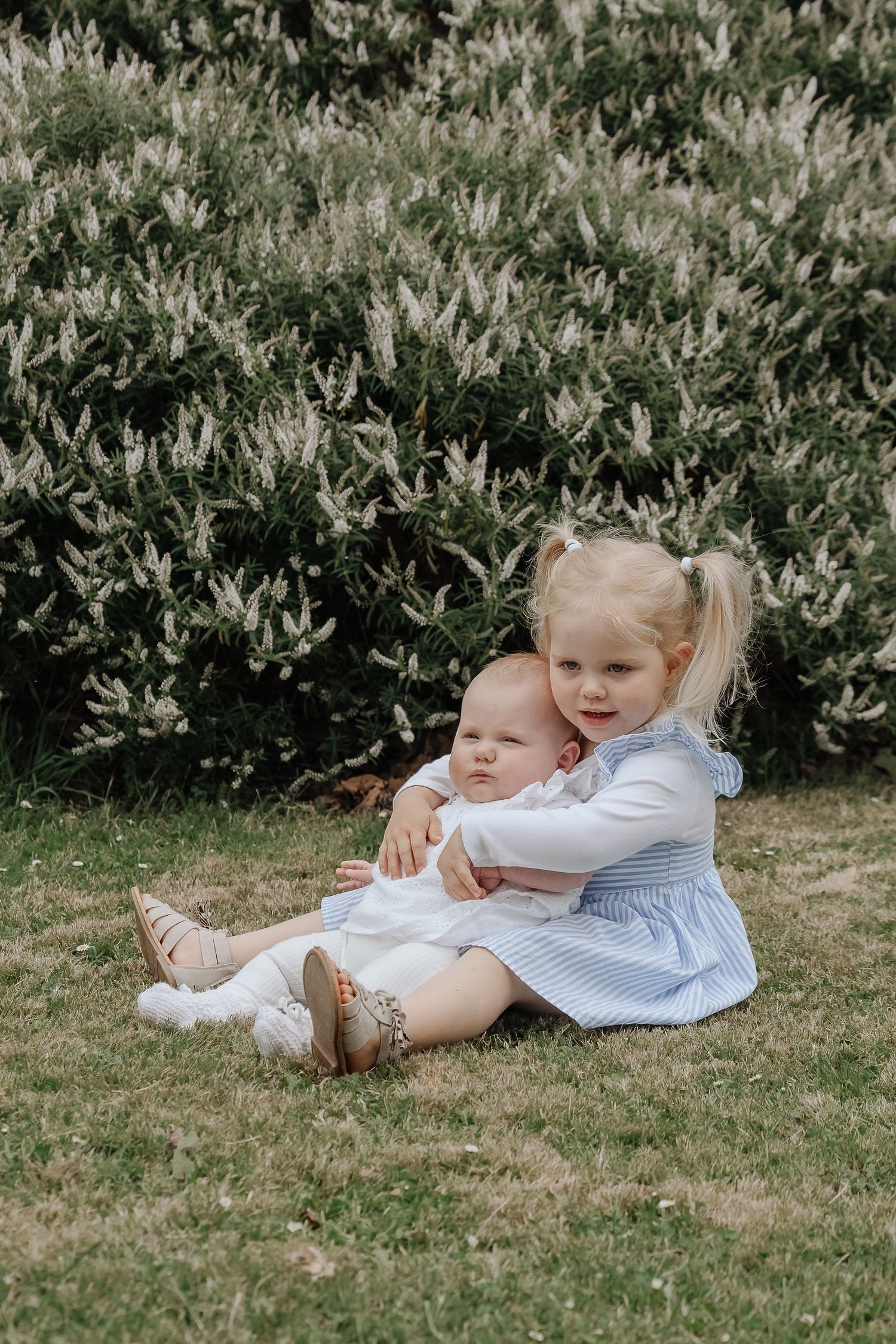 Two young blonde sisters sitting on grass, older girl hugging baby sibling, with white flowering bushes behind them.