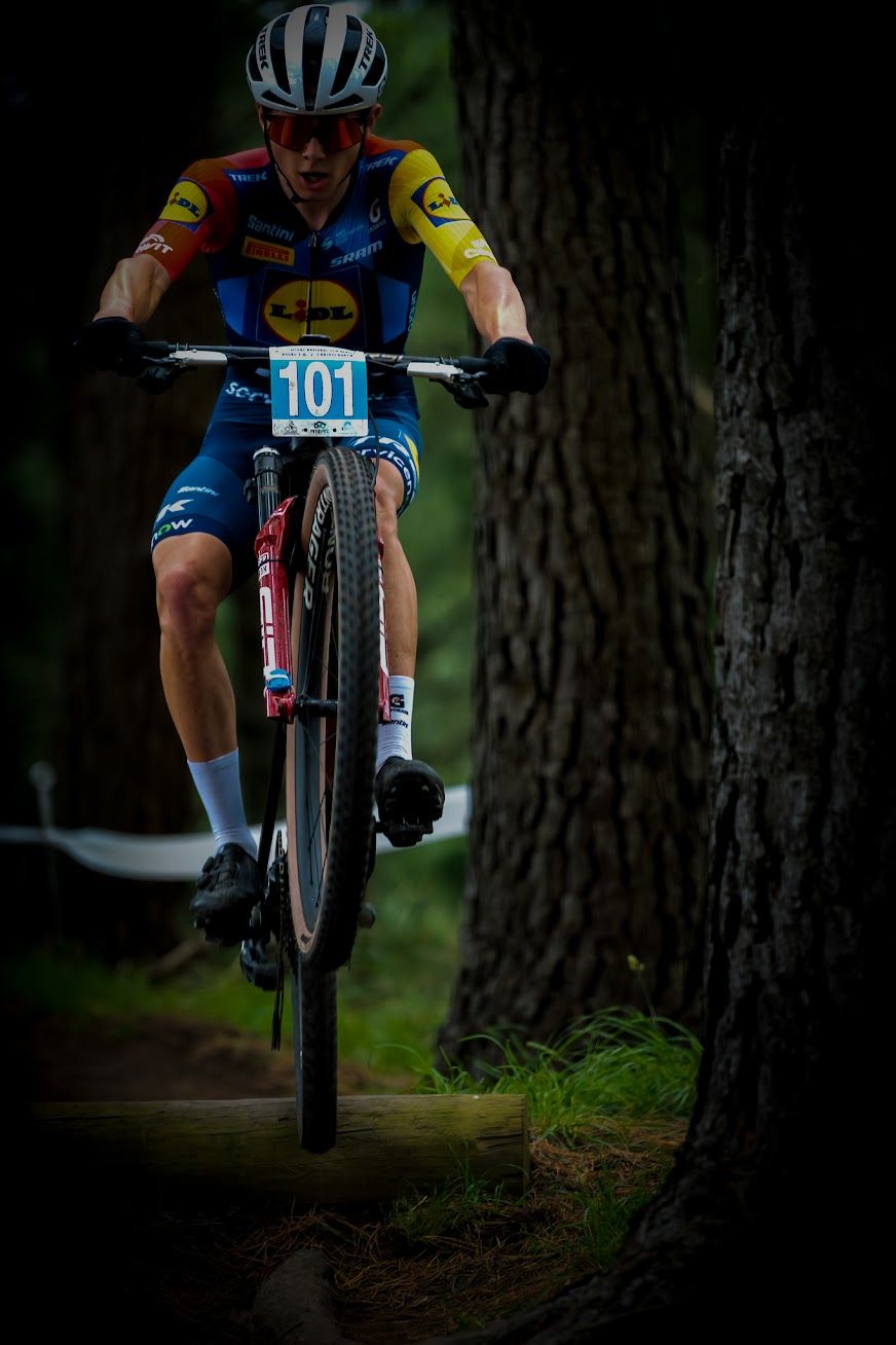 Mountain biker #101 in Lidl kit navigates a forest trail during a cross-country race competition.
