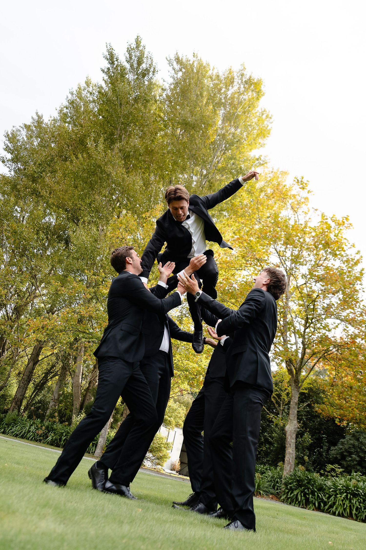 Groomsmen in black suits tossing groom into the air outdoors on green lawn with trees in background.
