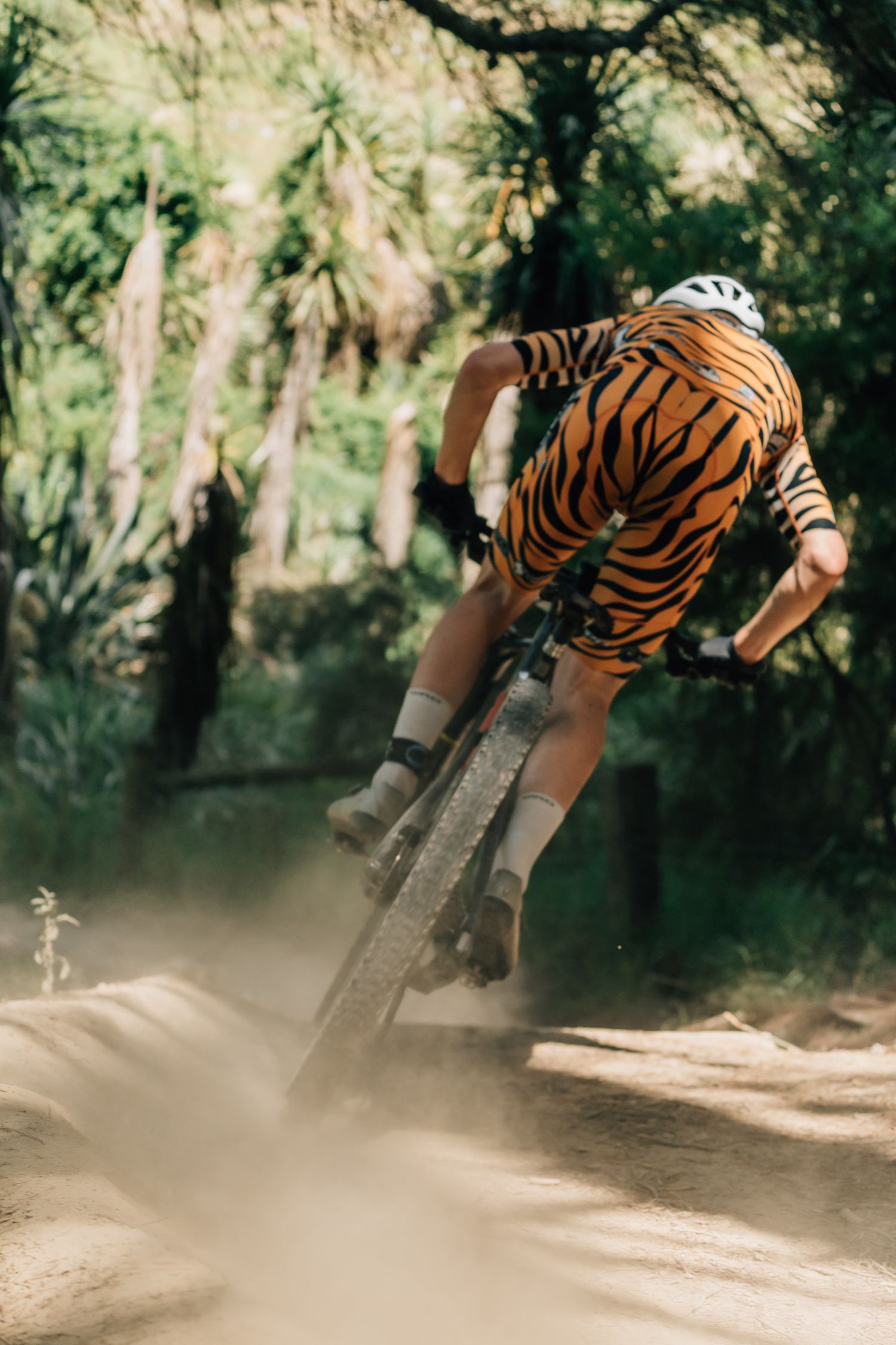 Mountain biker in tiger-striped jersey kicks up dust while riding on a forest trail at the Crocodile Mountain Bike Park in Halswell.