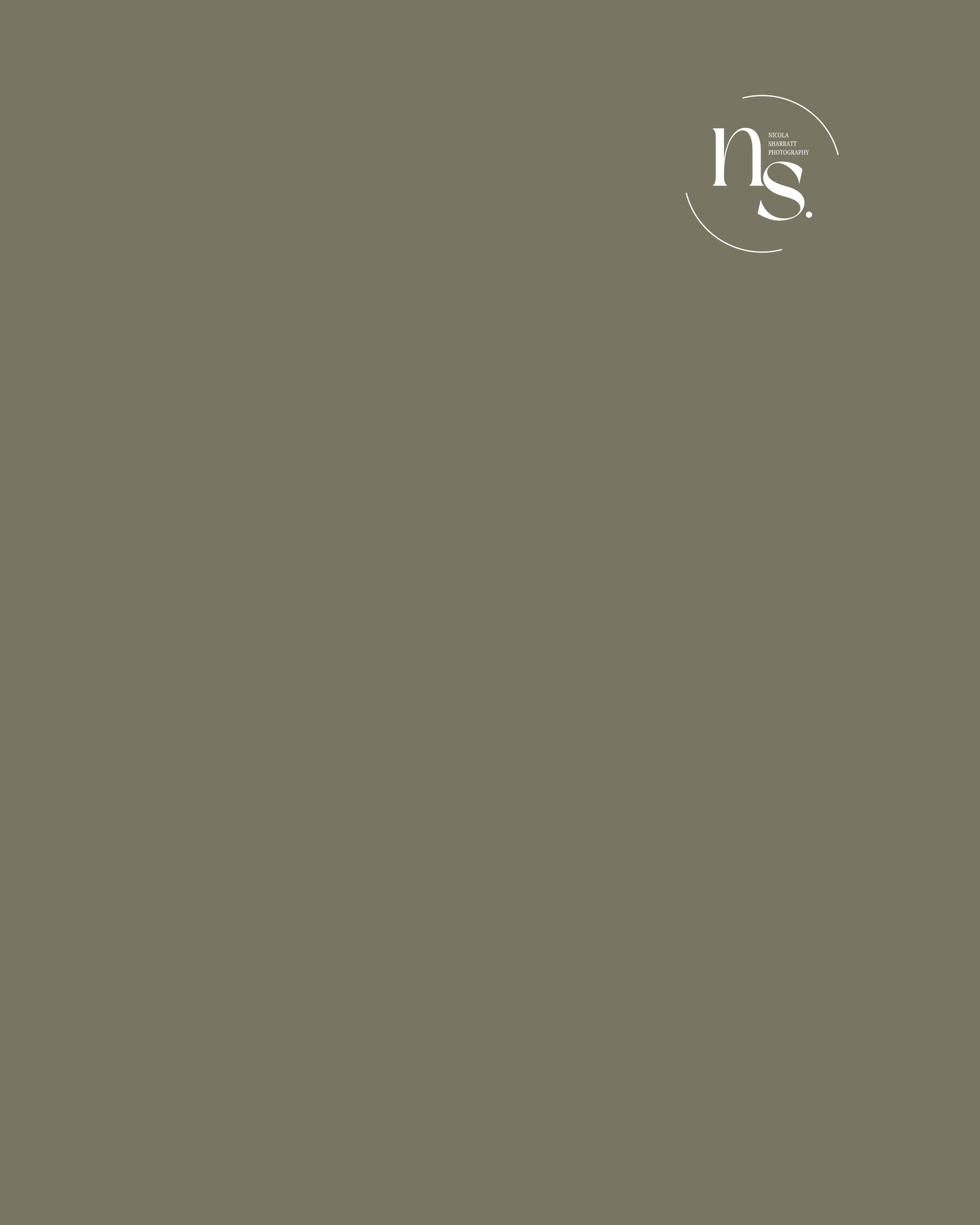 Minimalist olive green background with elegant NS monogram logo in white circle, perfect for branding.