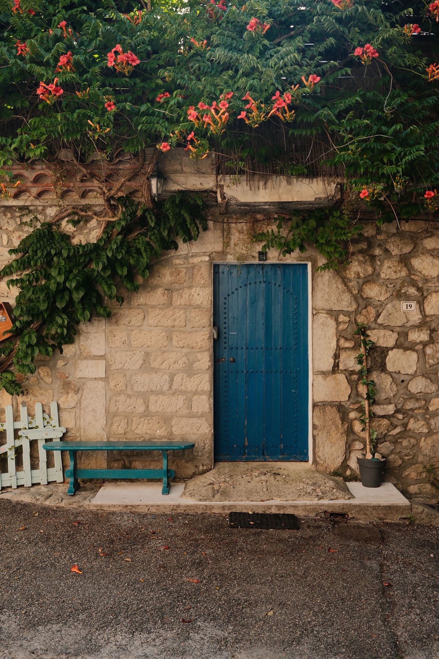 Blue wooden door on a rustic stone wall with a green bench and vibrant red flowering vines overhead.