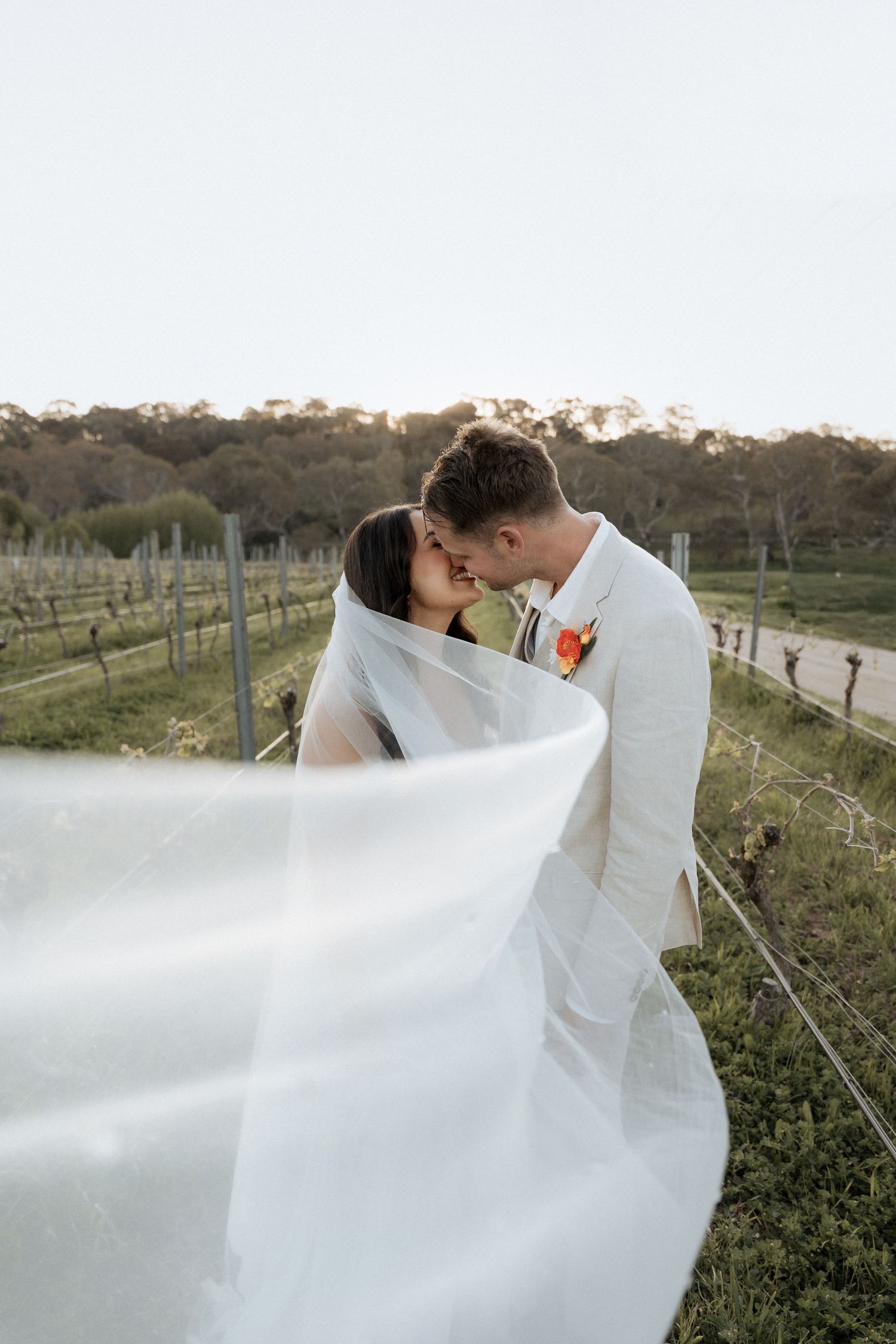 Howards Vineyard, in the Adelaide hills, captured by Braytmedia