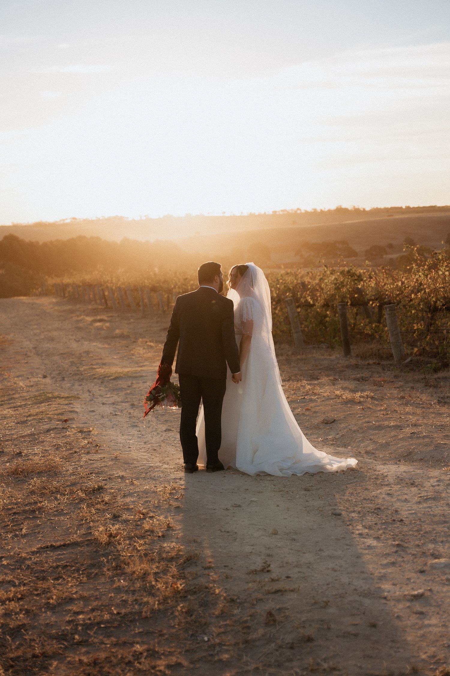 Wedding couple walking through vineyard at golden hour.