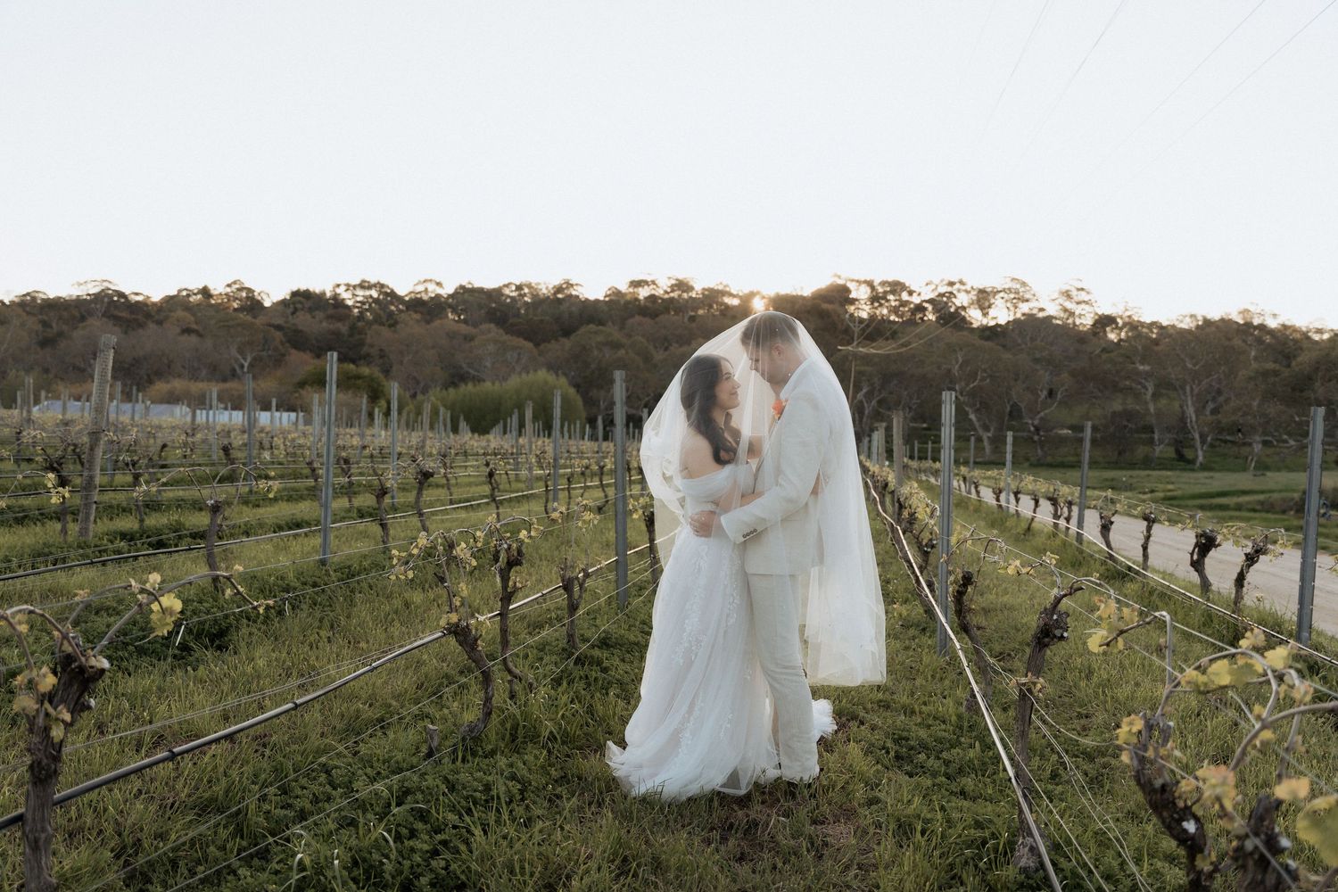 braytmedia adelaide wedding photography at Howards Vineyard
