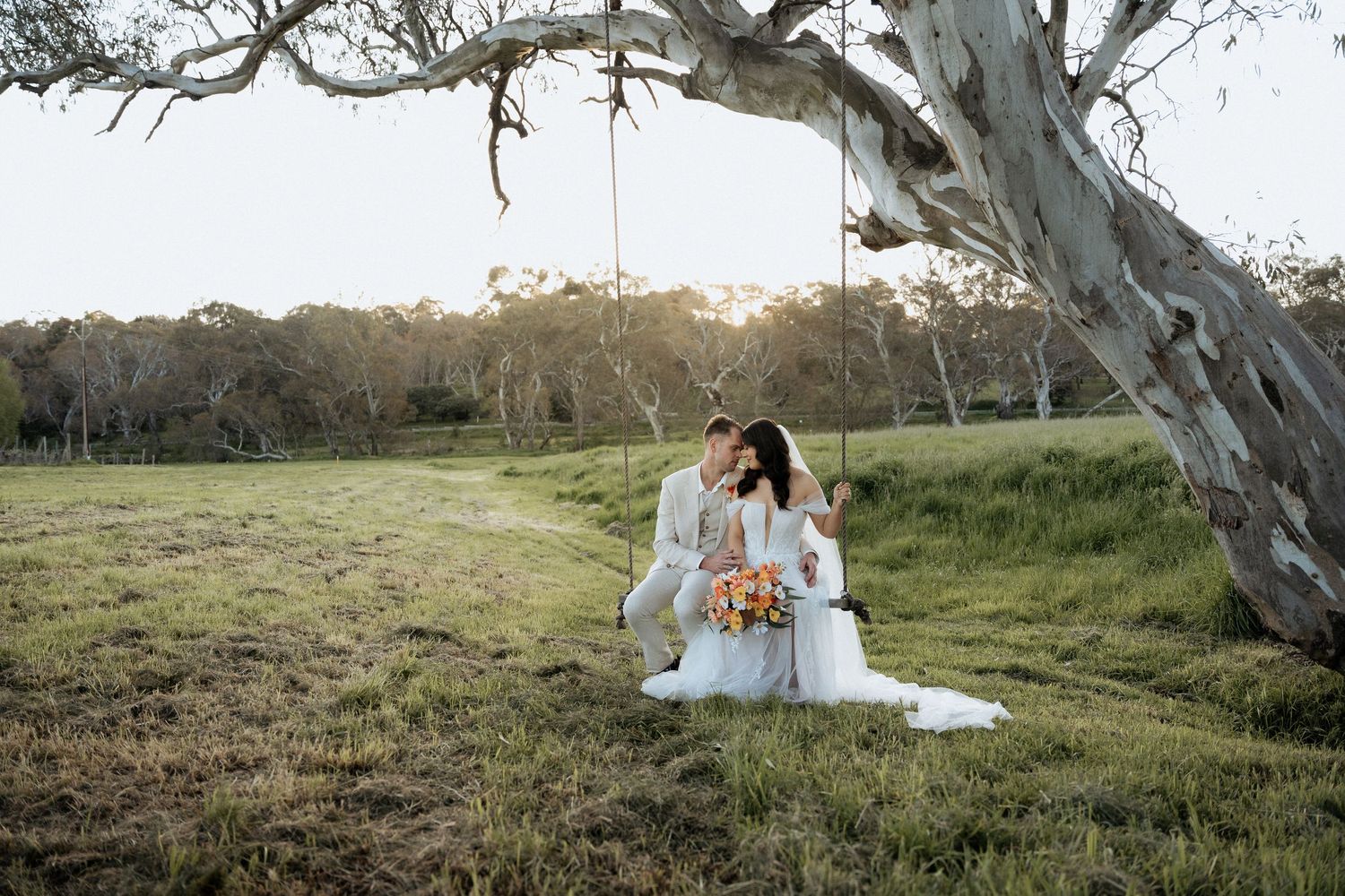 A couple in white wedding attire sits together on a grassy hillside at sunset beneath towering eucalyptus trees.