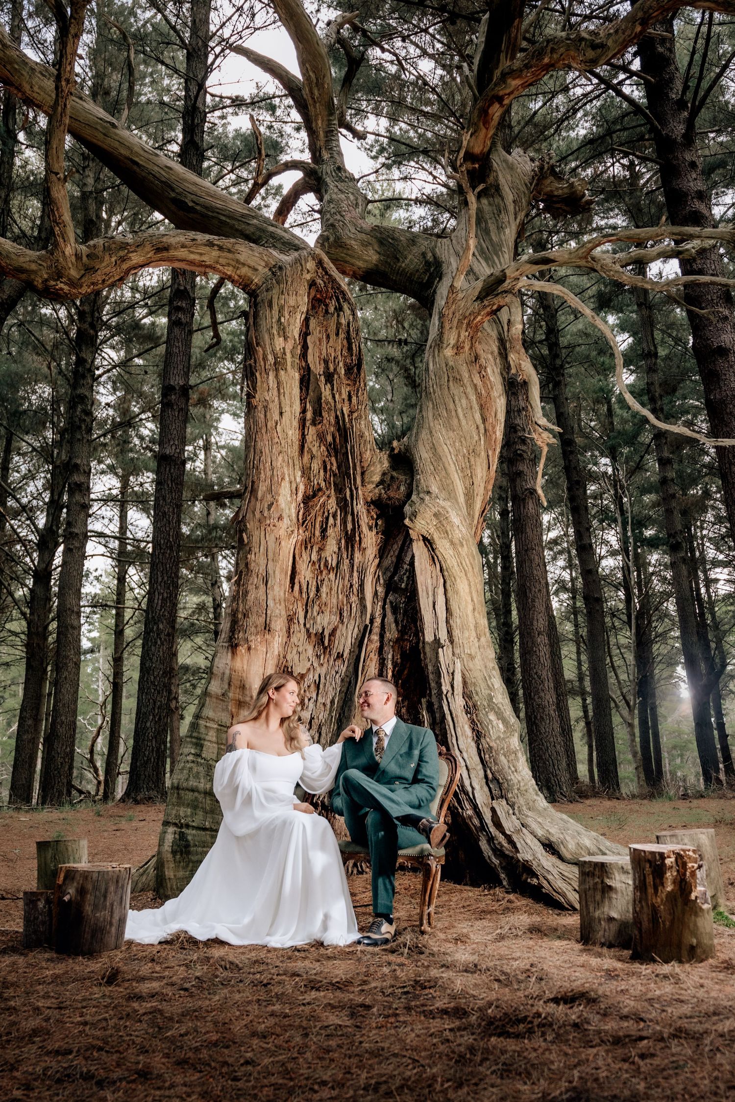 Couple seated among ancient trees in a mystical forest setting.