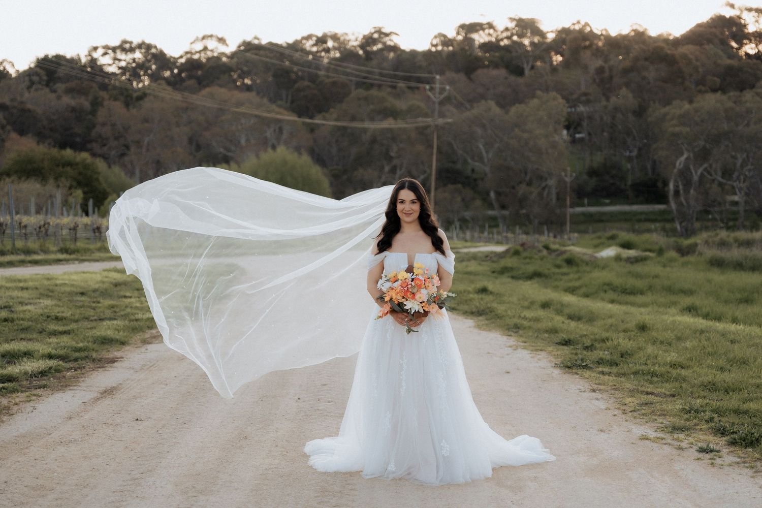 Bride in flowing white dress at Howard’s Vineyard, Adelaide hills captured by Braytmedia